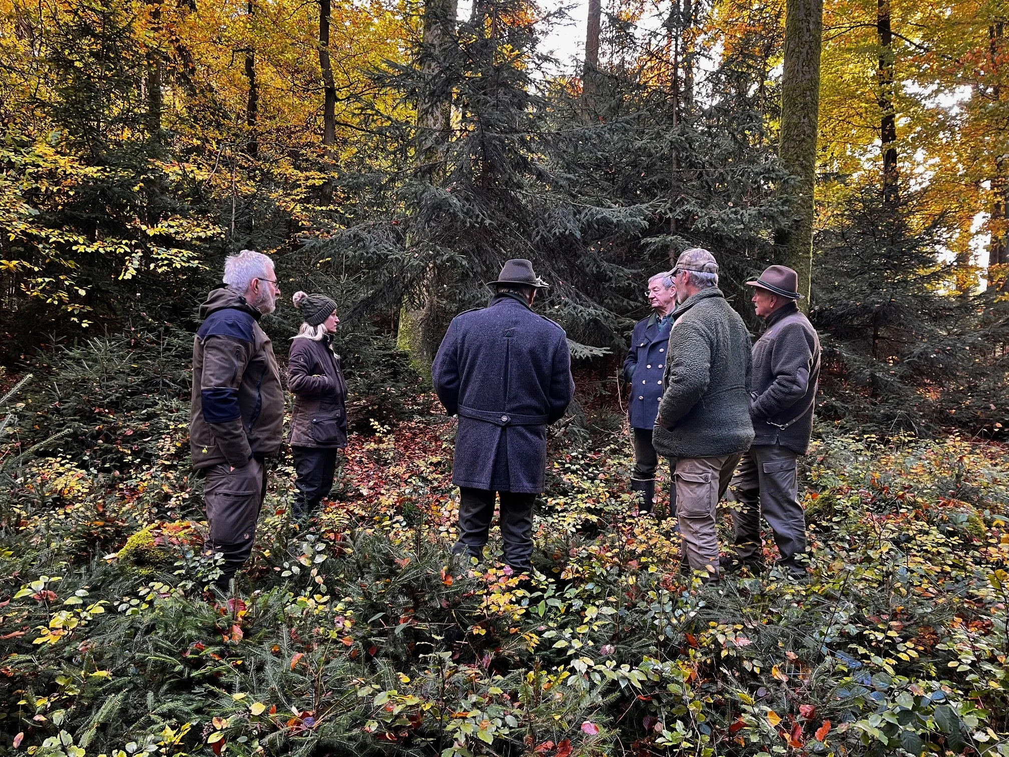Waldbegang: Jagd und Waldumbau gemeinsam denken