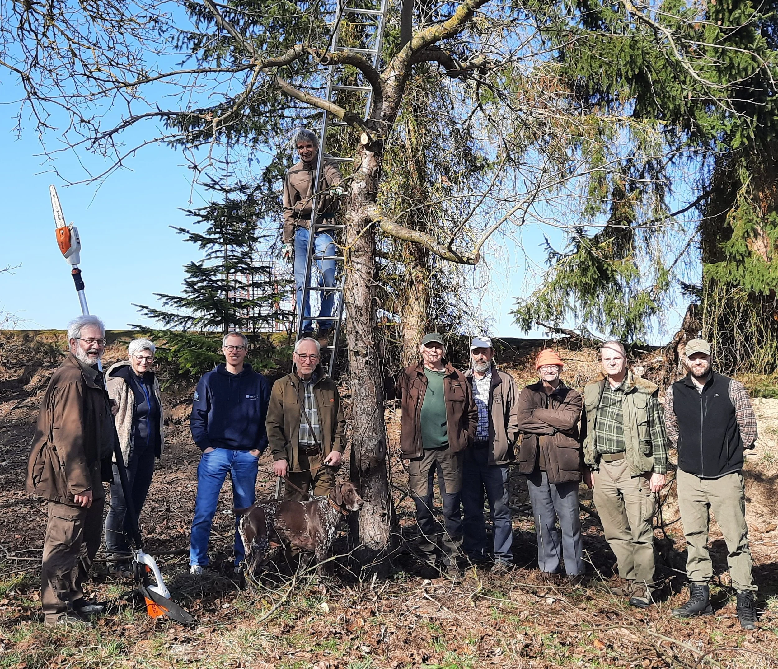 Teilnehmer am Obstbaumschnittkurs-links Organisator Ludwig Krinner-Kreisfachberater Harald Götz auf der Leiter 