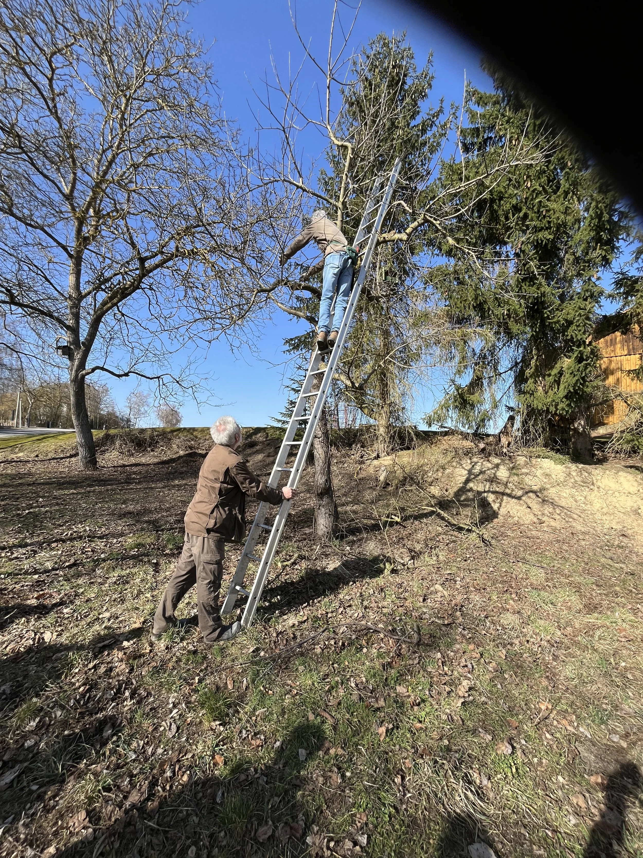 Obstbaumschnitt_Kreisgruppe-11964.JPG