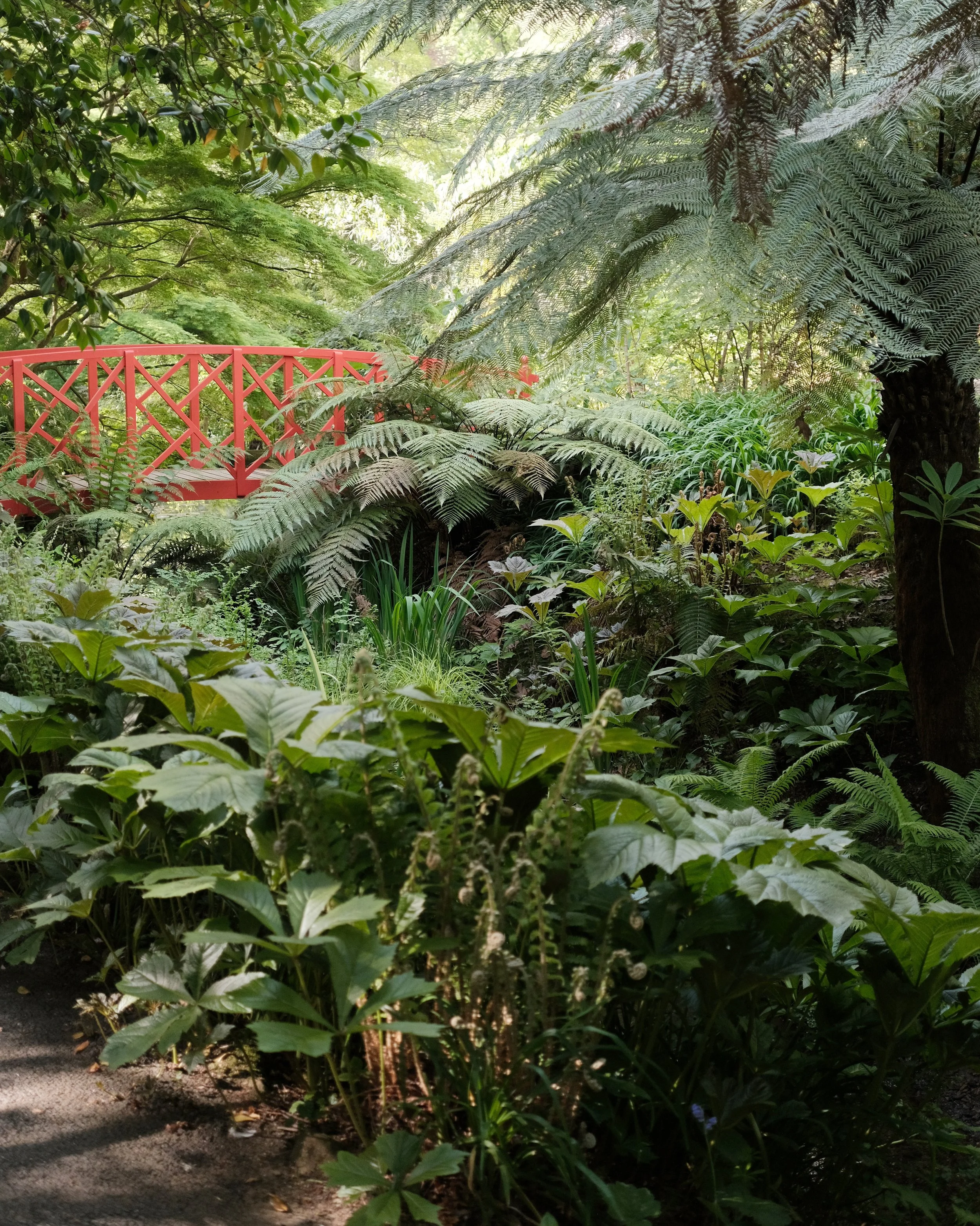 abbotsbury-14.jpg