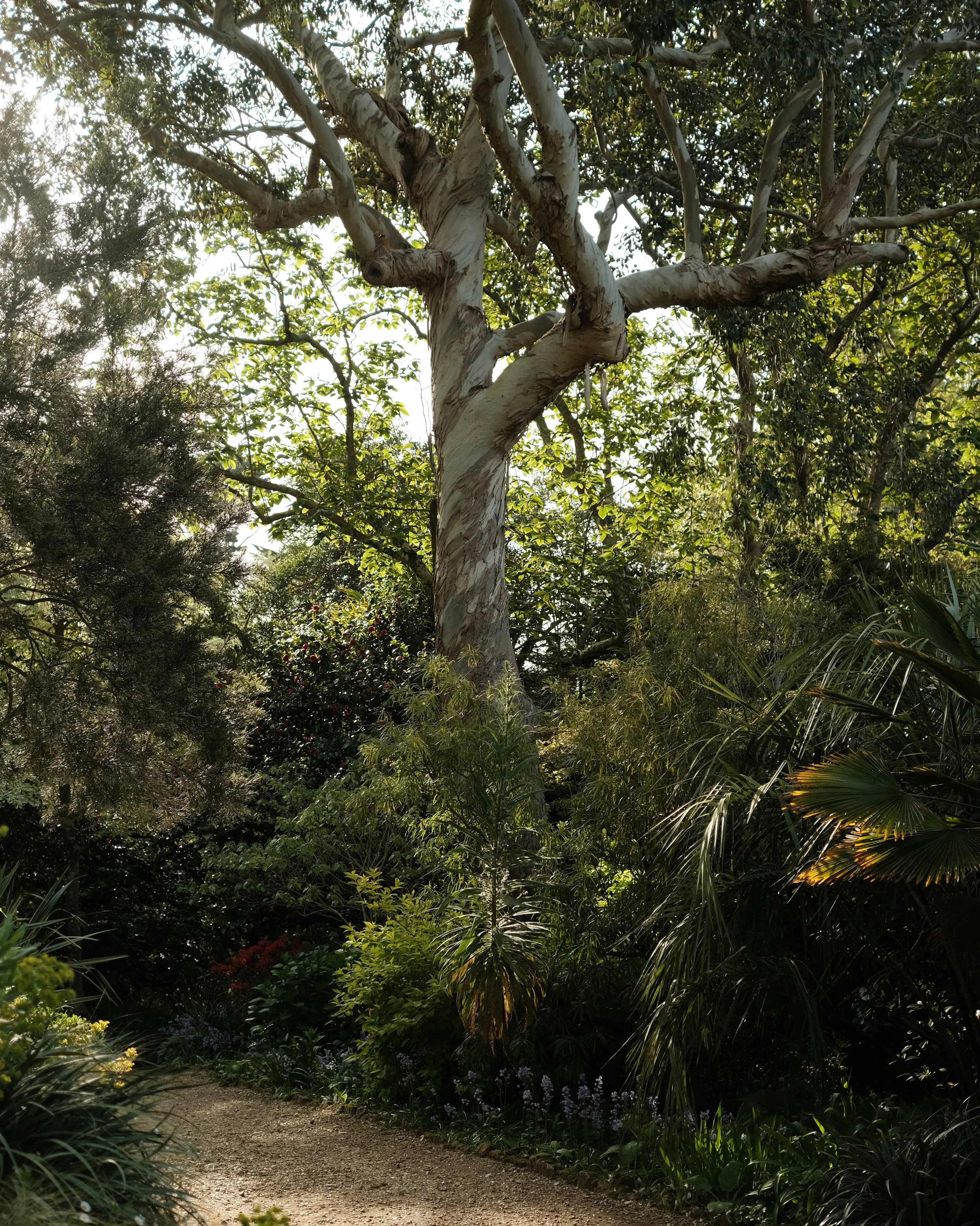 abbotsbury-01.jpg