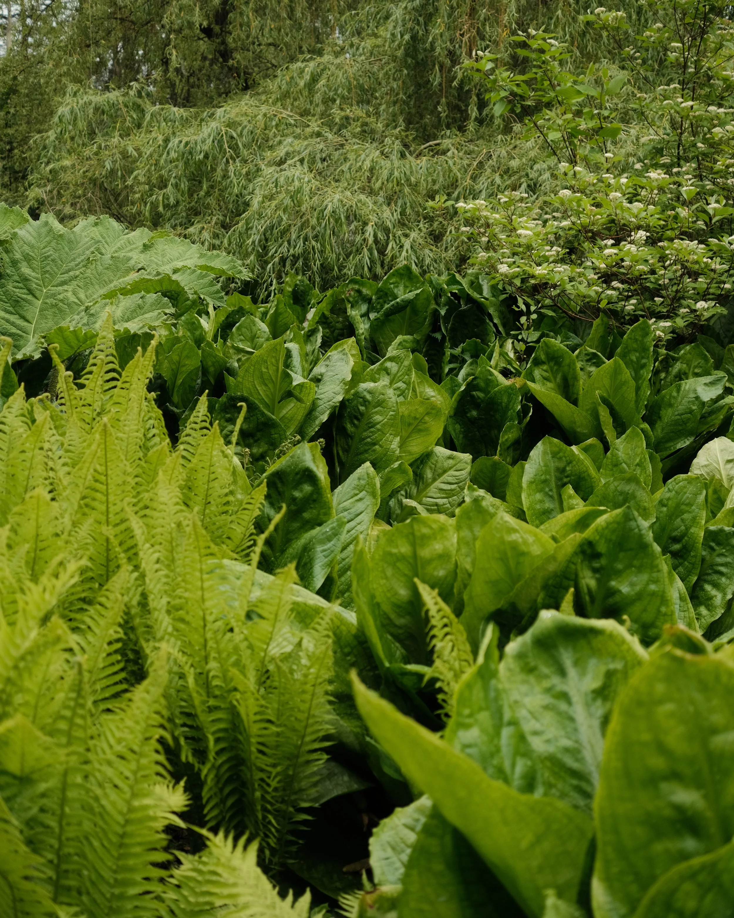 FORDE MAY 2025-12.jpg