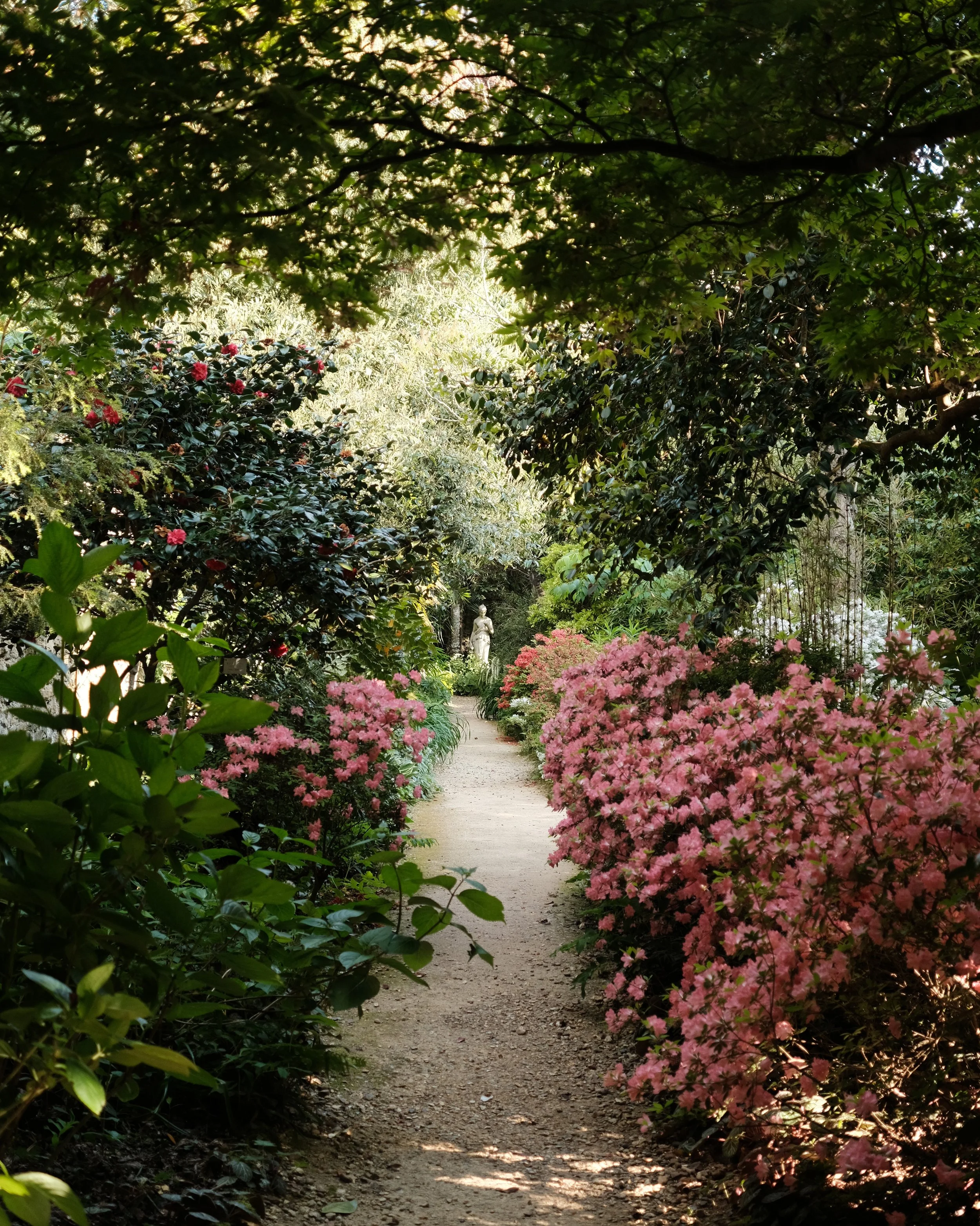 abbotsbury-21.jpg
