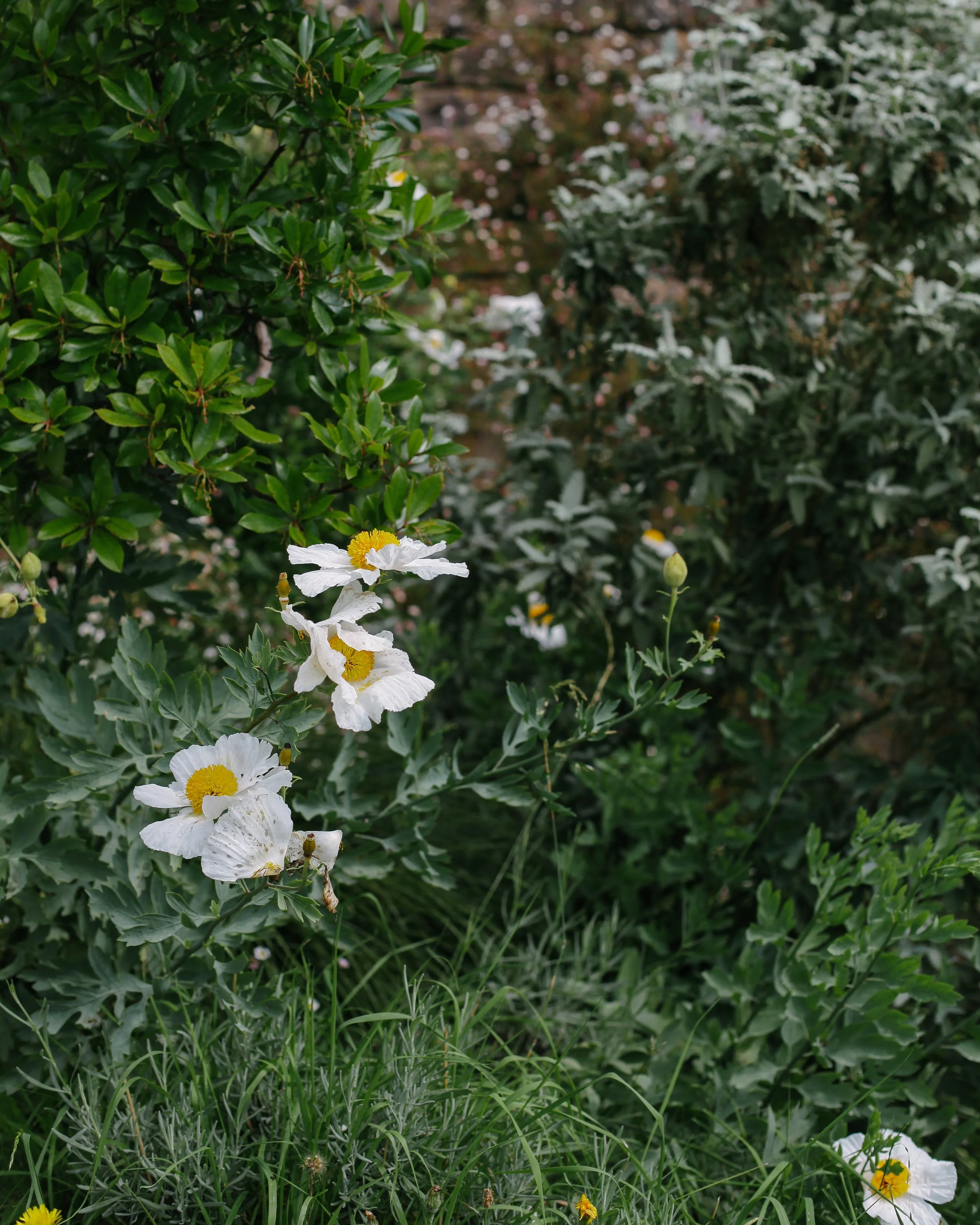 EOS MAPPERTON EDITS-5.jpg