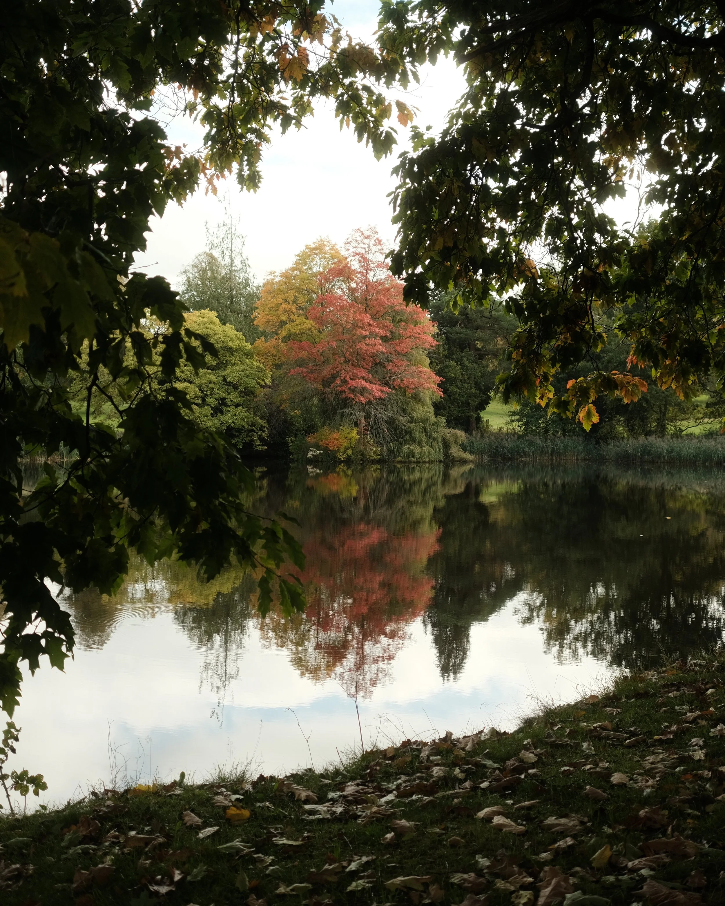 FORDE OCT 2025-6.jpg