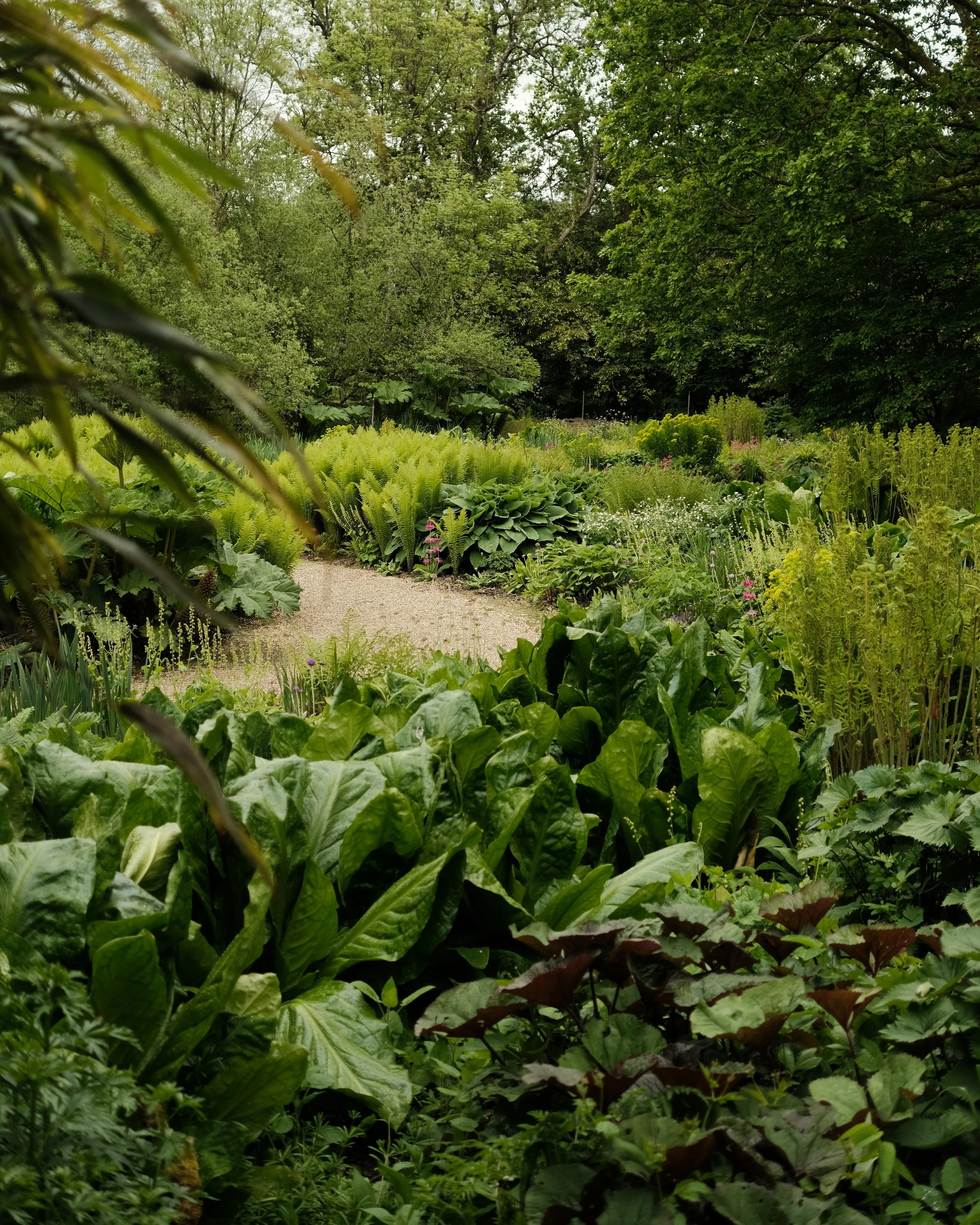 FORDE MAY 2025-5.jpg