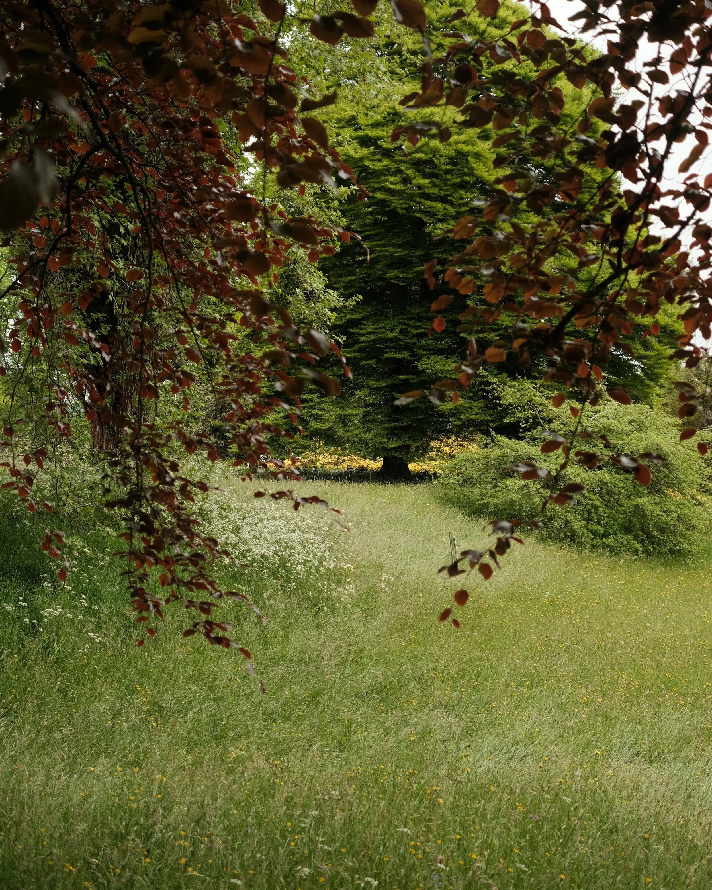 FORDE MAY 2025-13.jpg