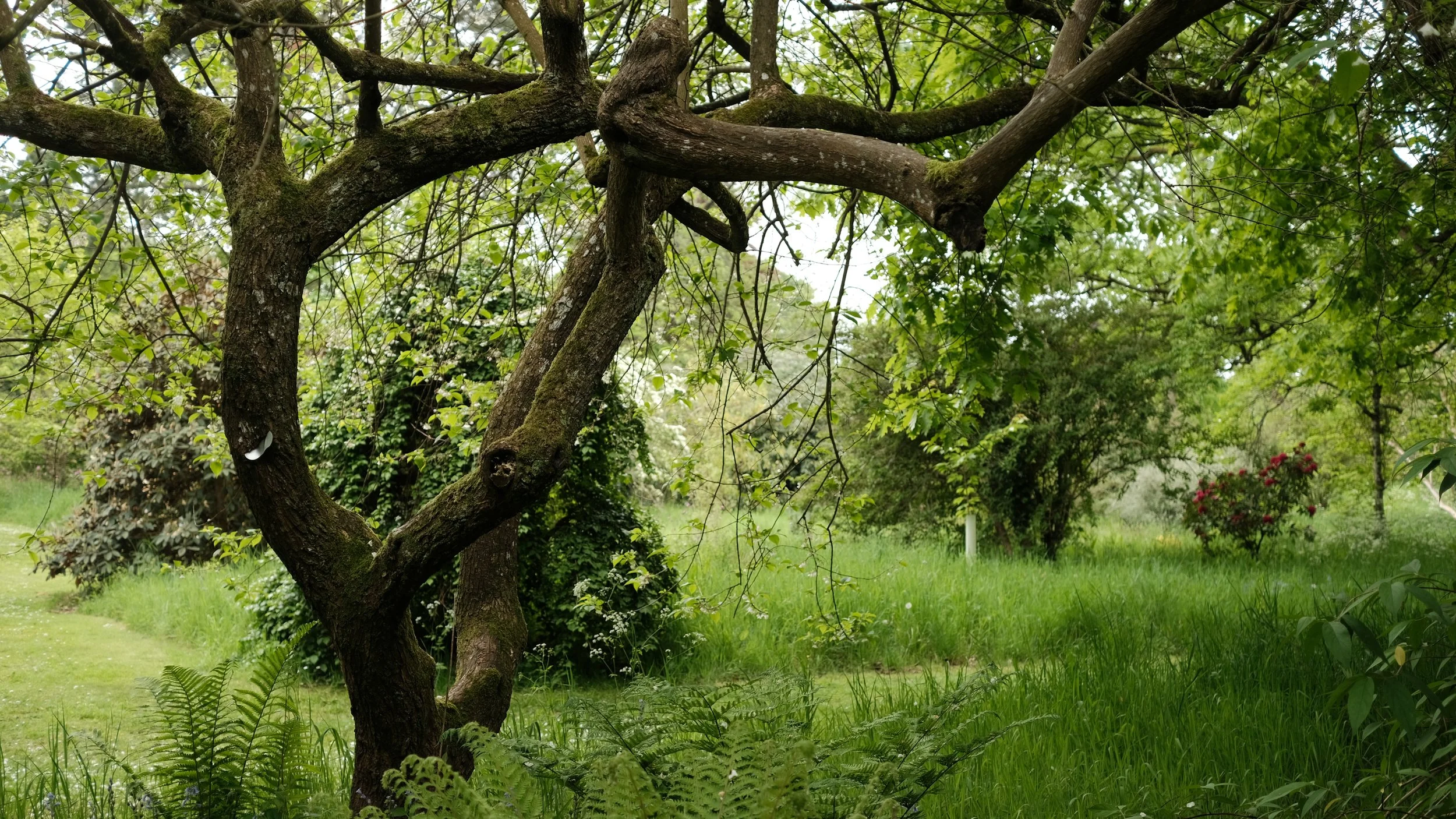 FORDE MAY 2025-23.jpg