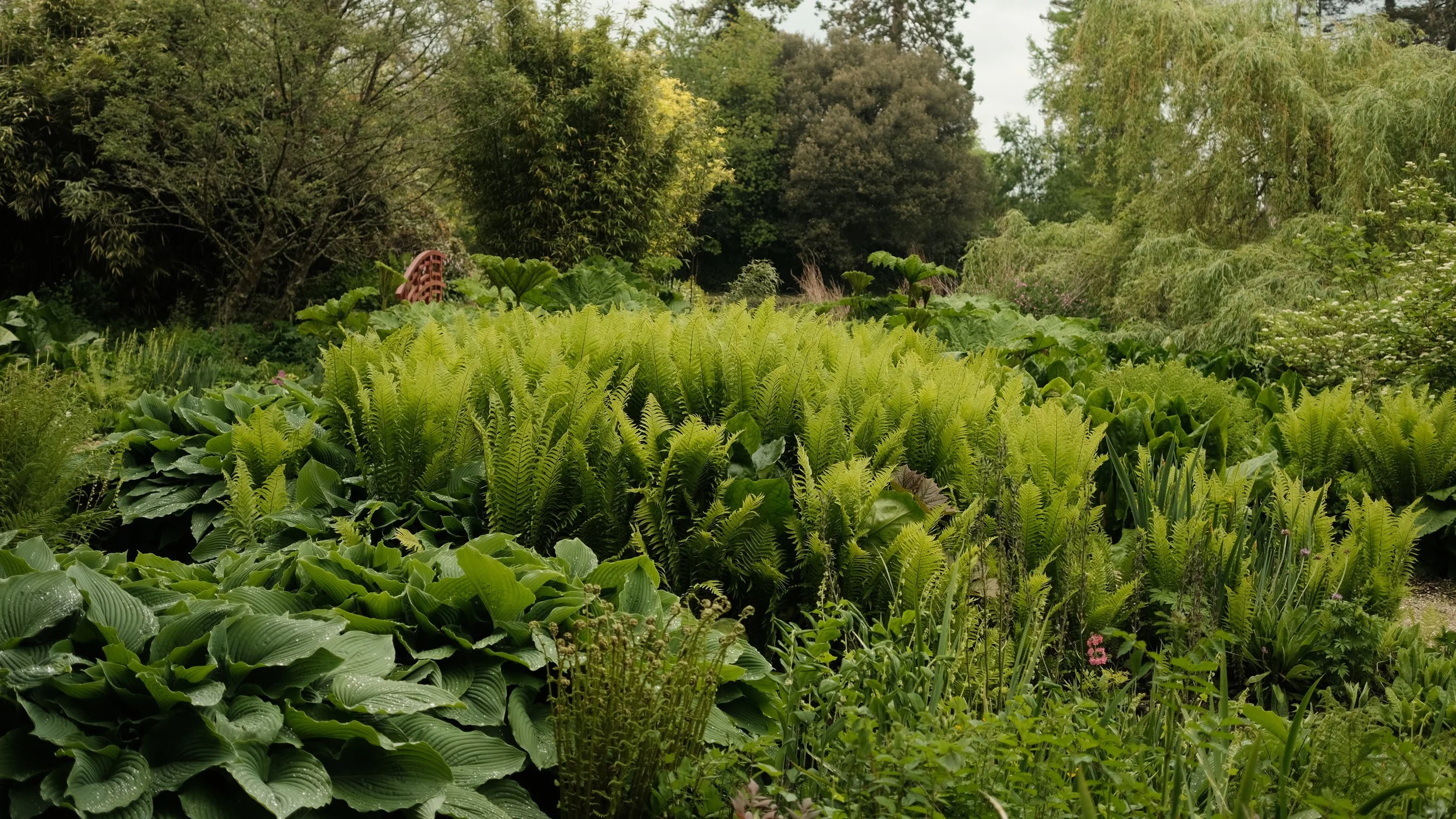 FORDE MAY 2025-7.jpg