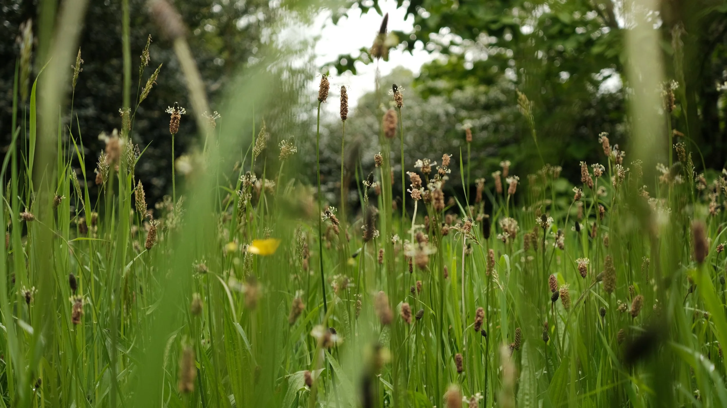 FORDE MAY 2025-20.jpg