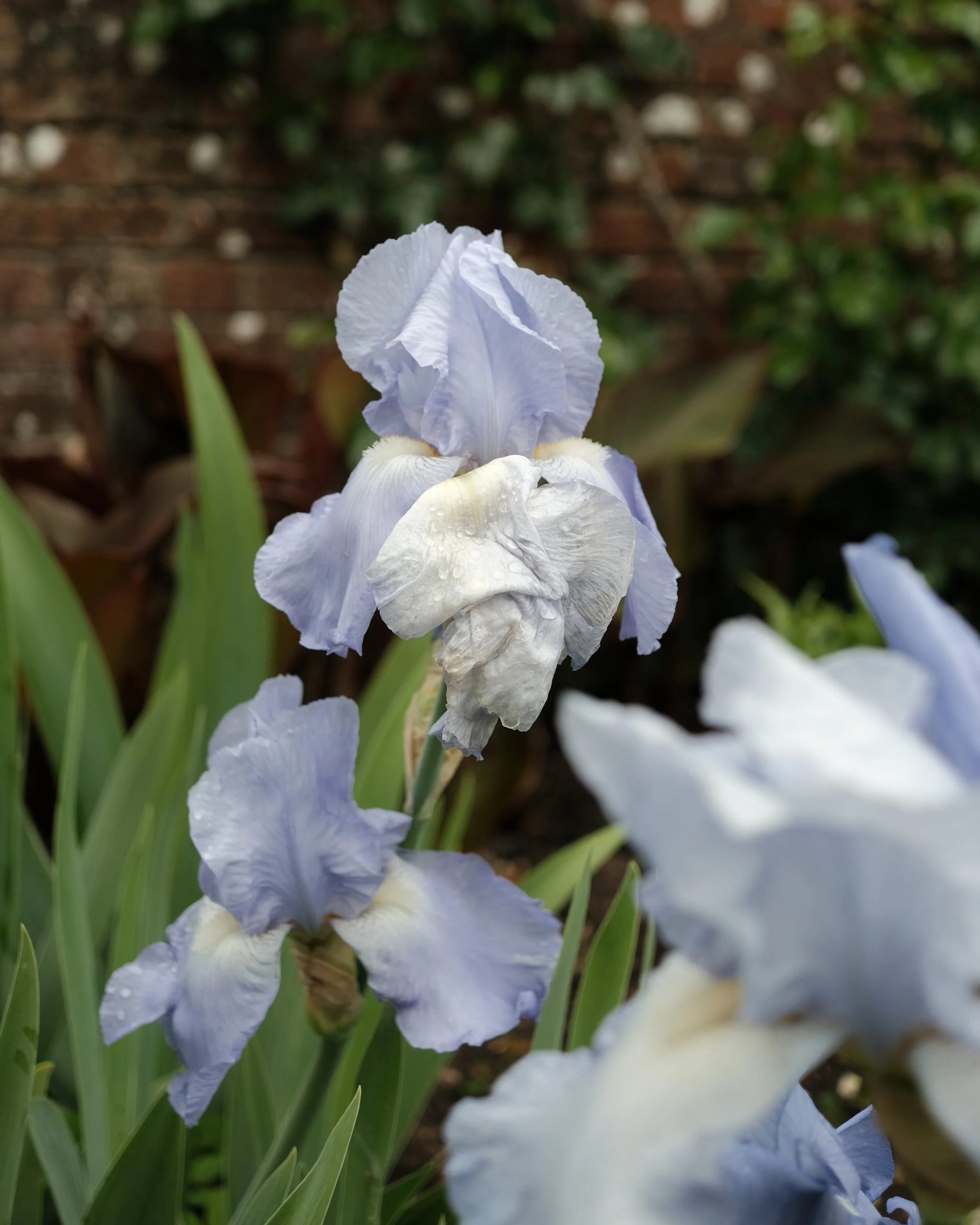 FORDE MAY 2025-15.jpg