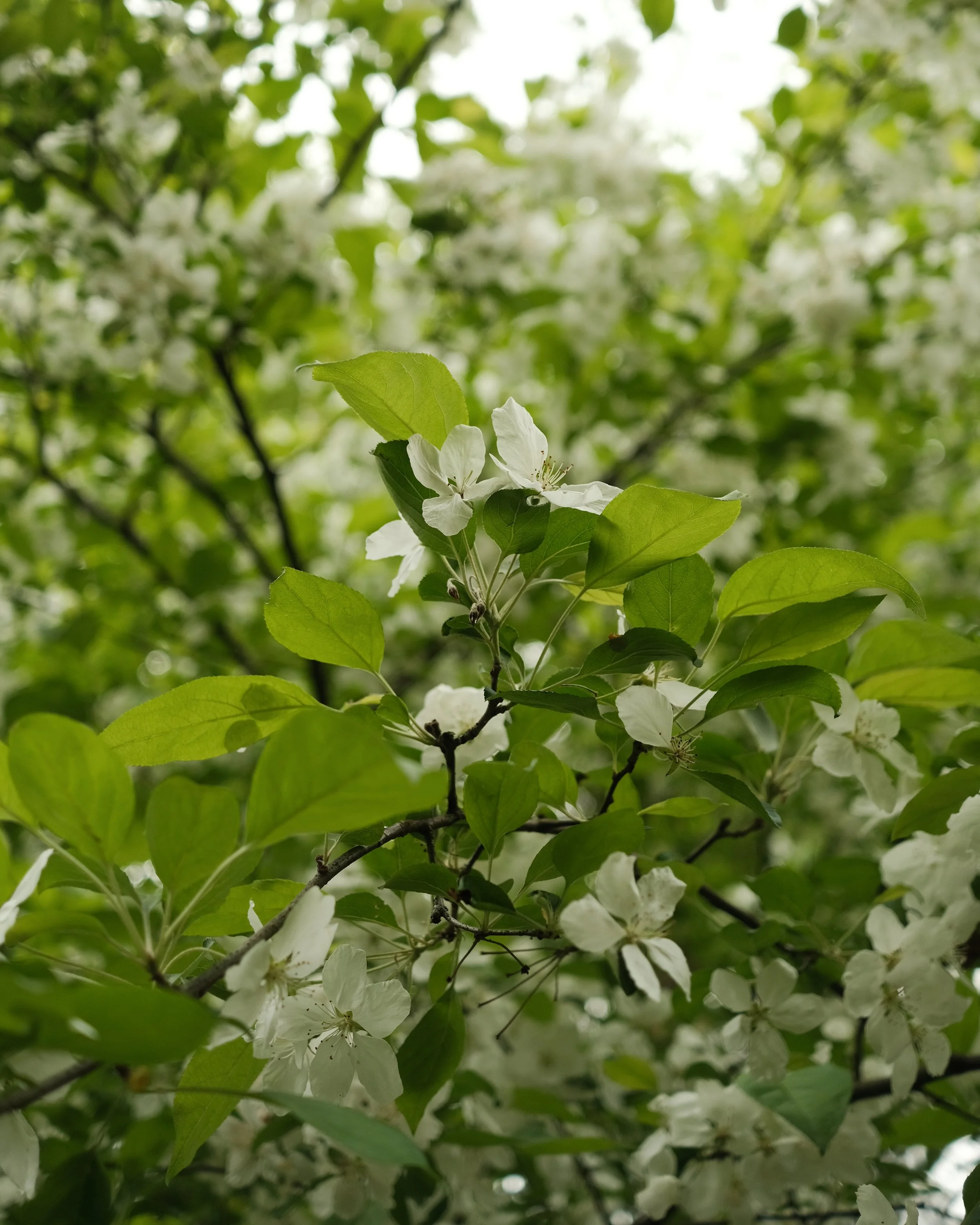 FORDE MAY 2025-24.jpg