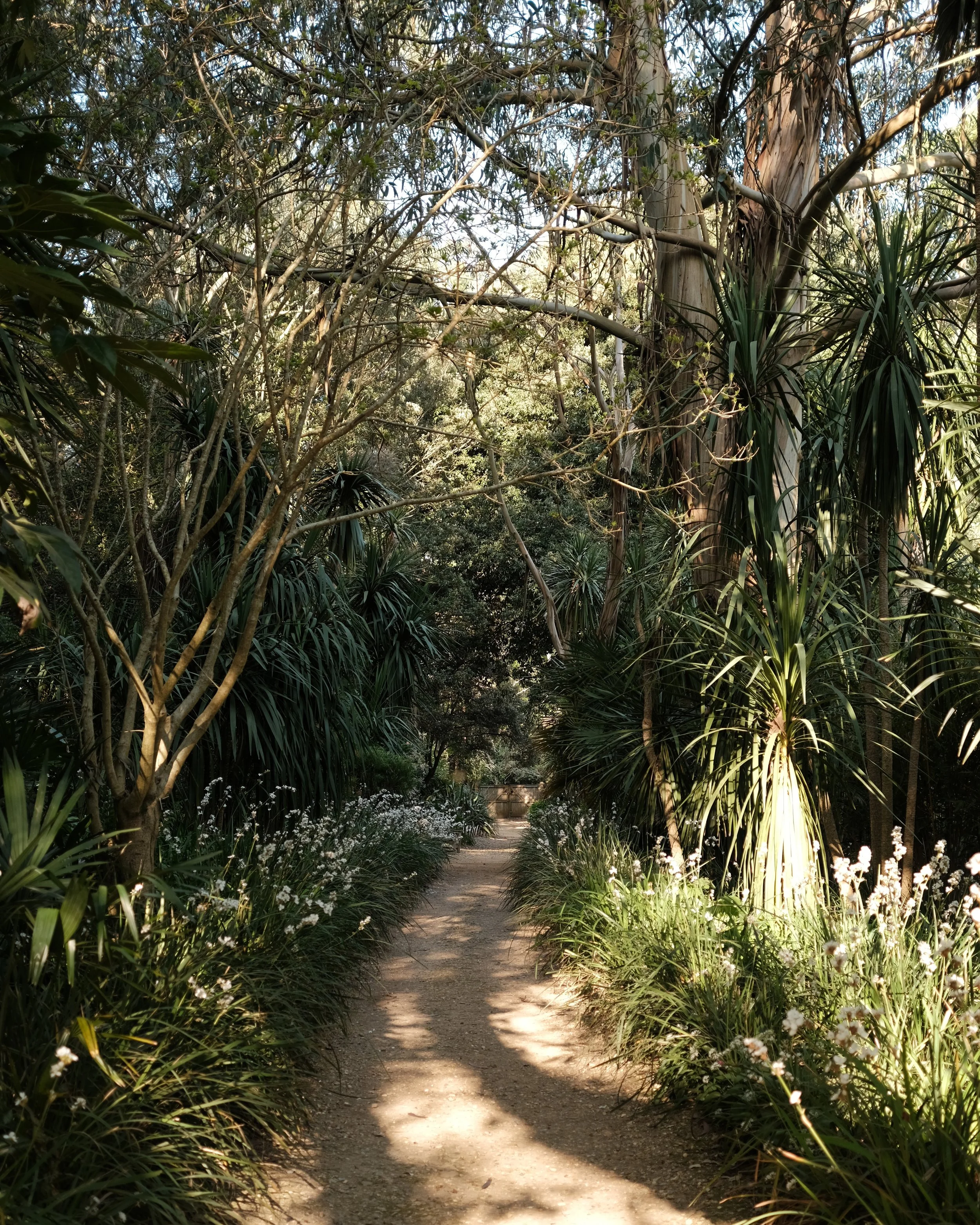 abbotsbury-19.jpg
