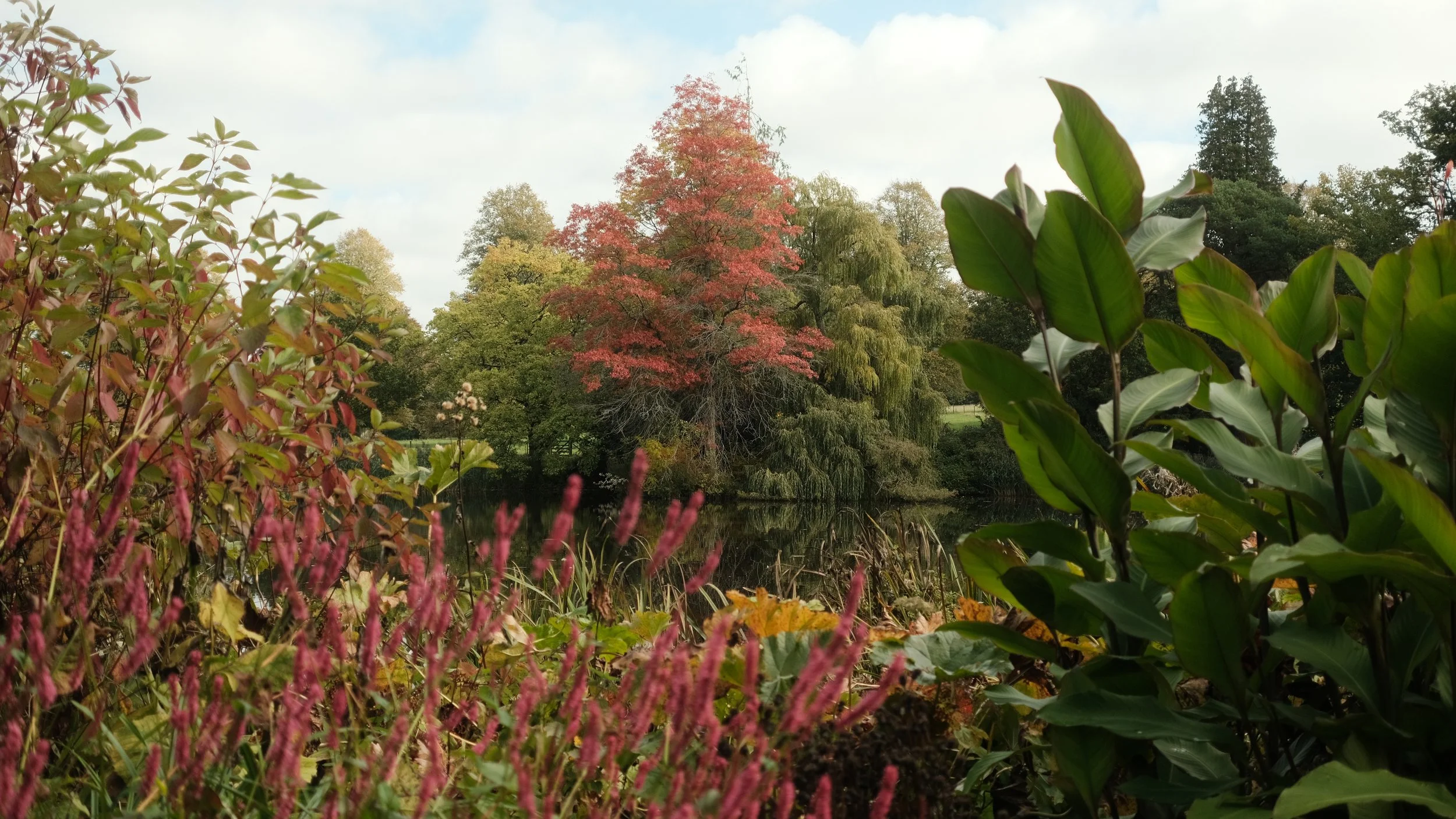 FORDE OCT 2025-4.jpg