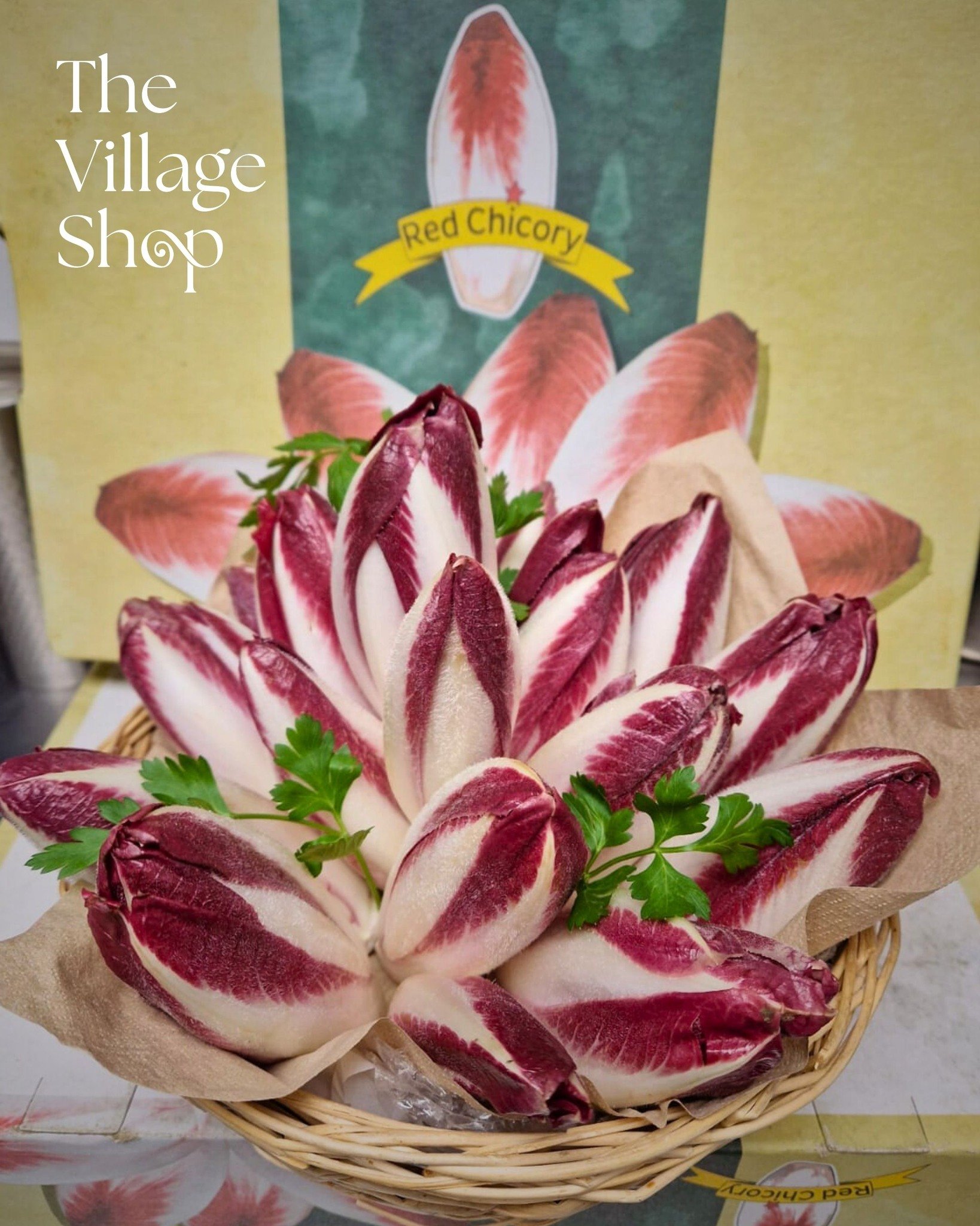 🌱 Now In Stock: Chicory! 🌱

Good news &mdash; we&rsquo;ve just added fresh chicory to our shelves at Our Village Shop 🛒
Perfect for salads, roasting, or adding a little something special to midweek meals.

Pop in and pick some up while it&rsquo;s 