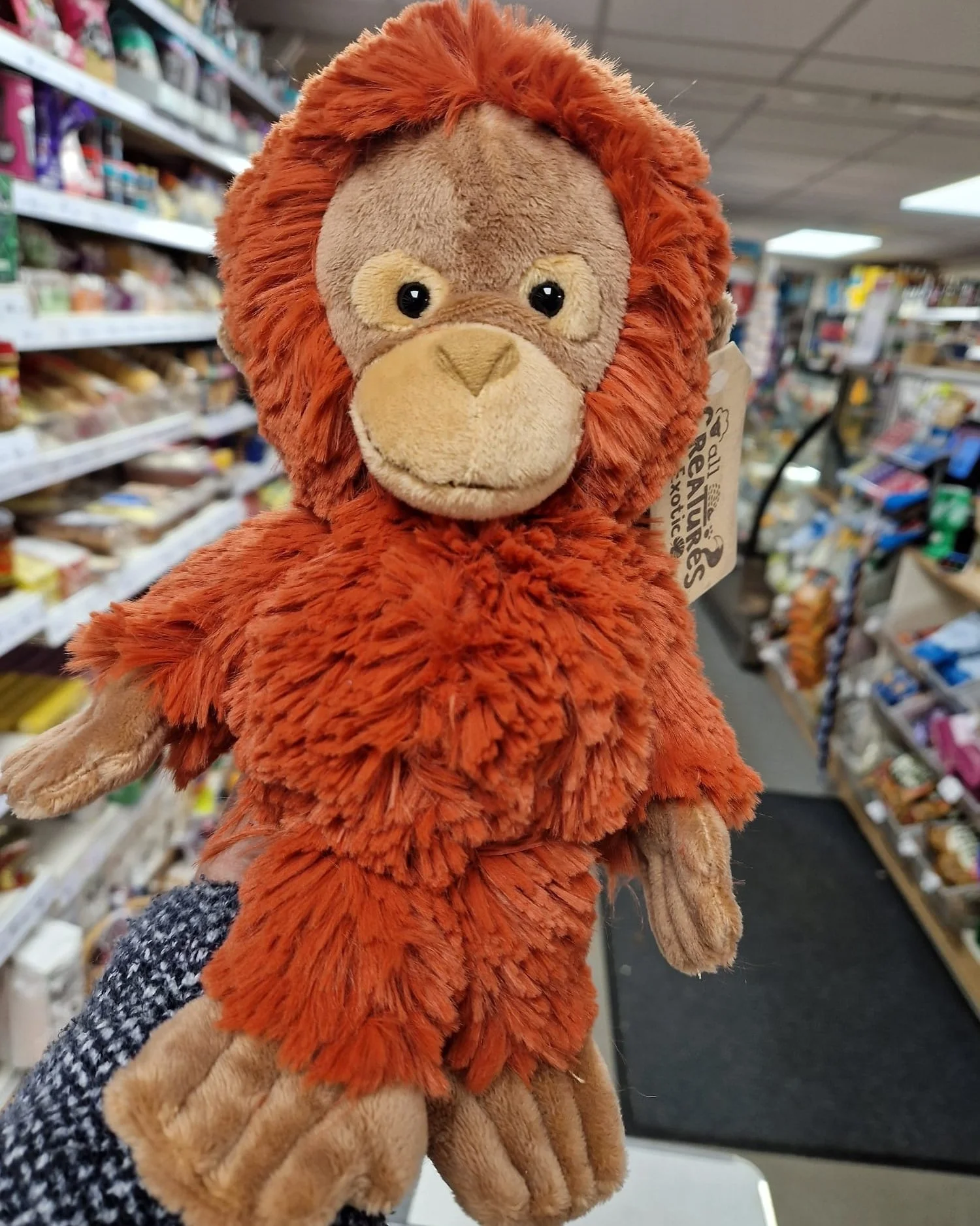 You can get your very own stuffed Orangutan like the viral monkey "Punch" who has been carrying hers about everywhere 🐵