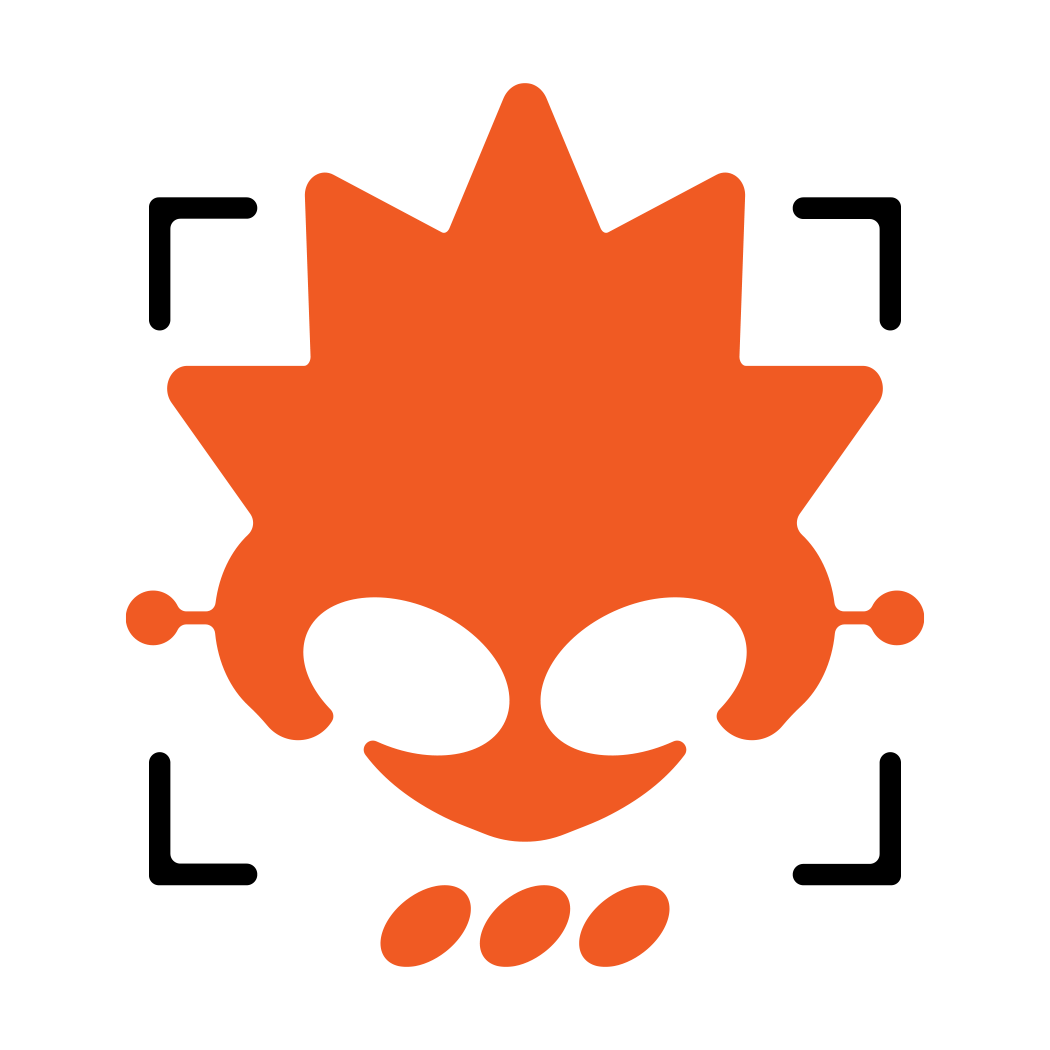 New Portfolio On The Way!