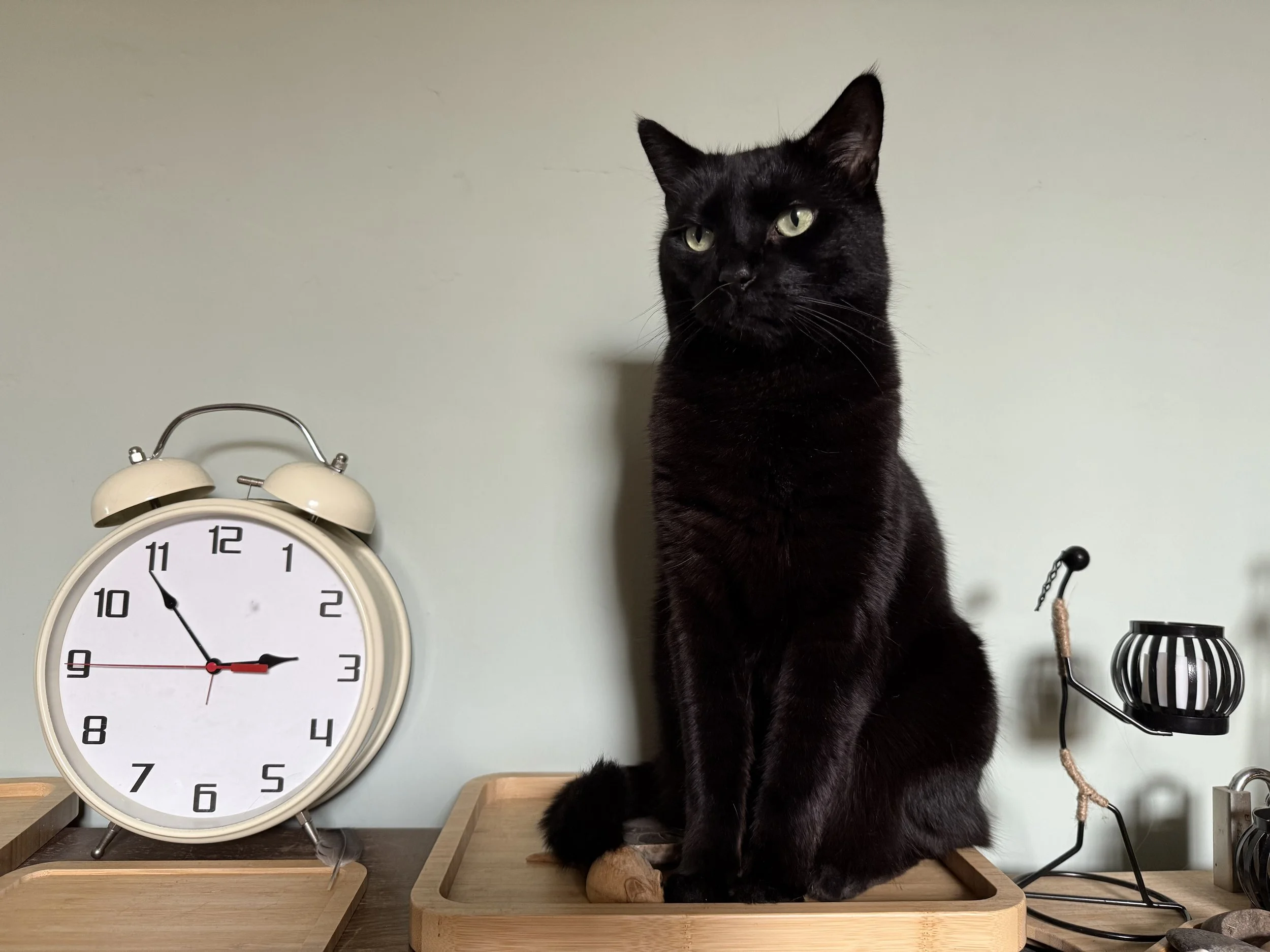 Stop Telling Yourself You Need More Time