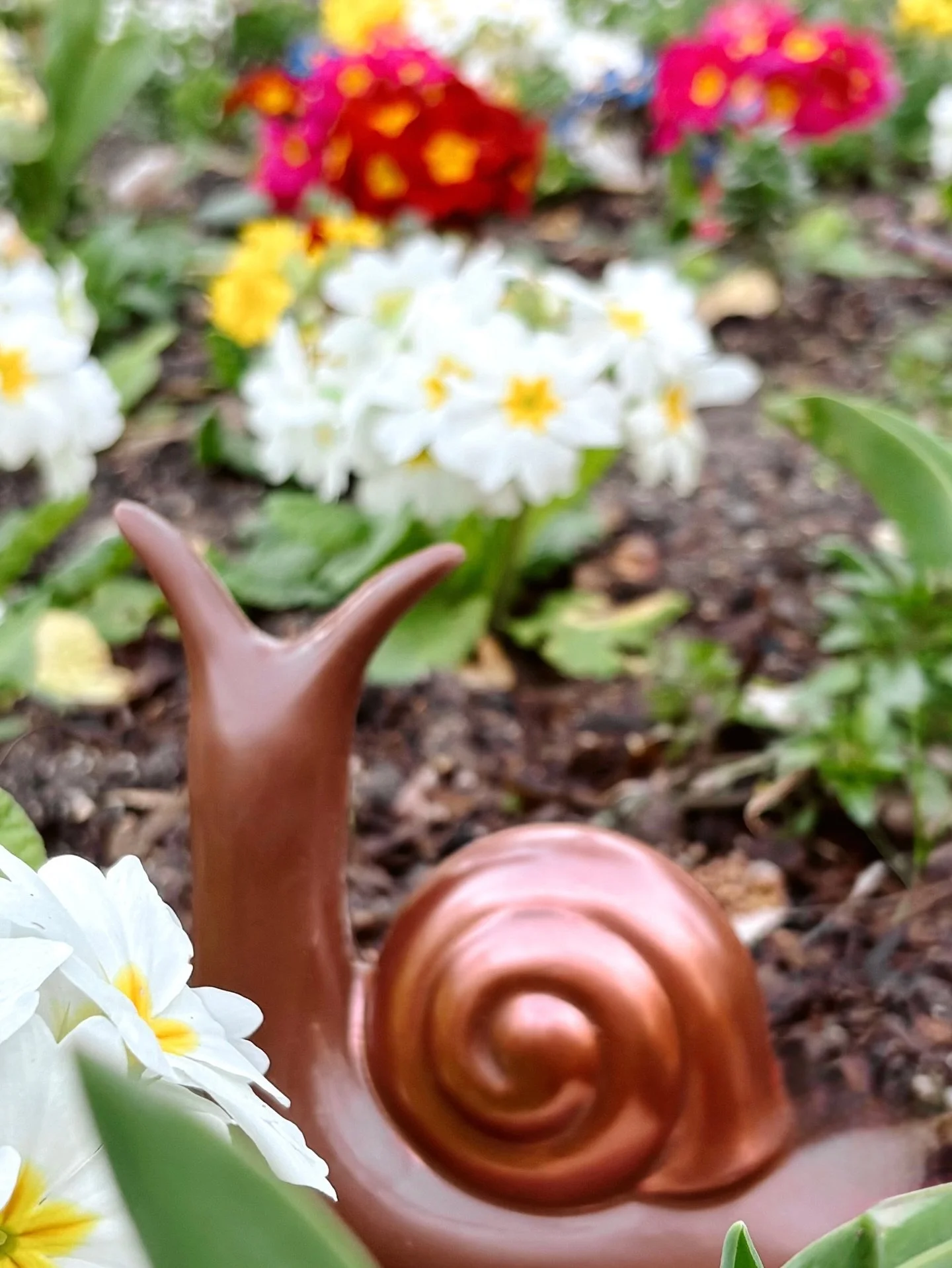 Our chocolate snails are painted in gorgeous metallic hues this year. The dark chocolate snail is available in a gold shell, and the milk chocolate snail in copper. They make any Easter table refined and whimsical! And they&rsquo;re great for a sprin