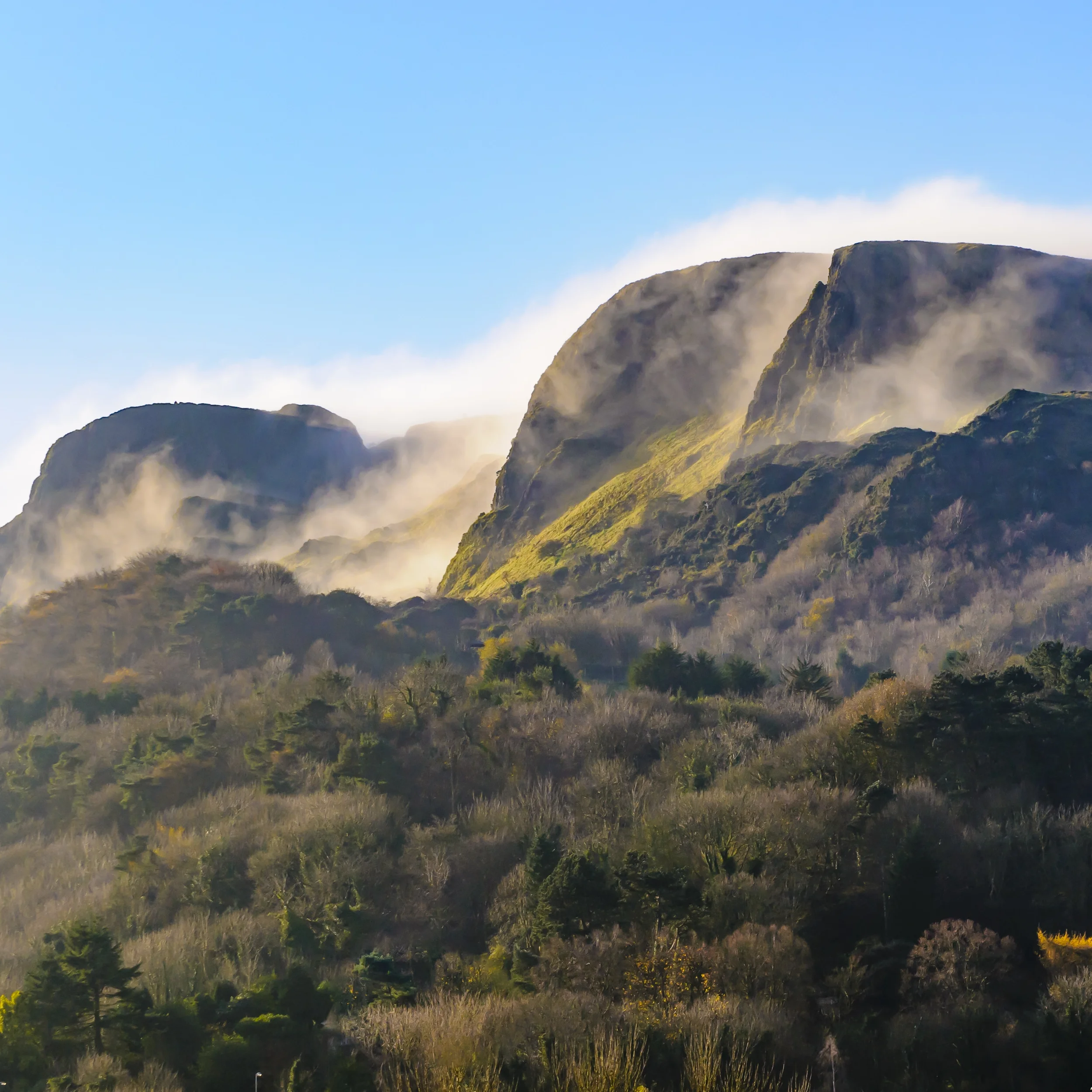 Mountain landscape with fog among the peaks and lush forest in the foreground under a blue sky.