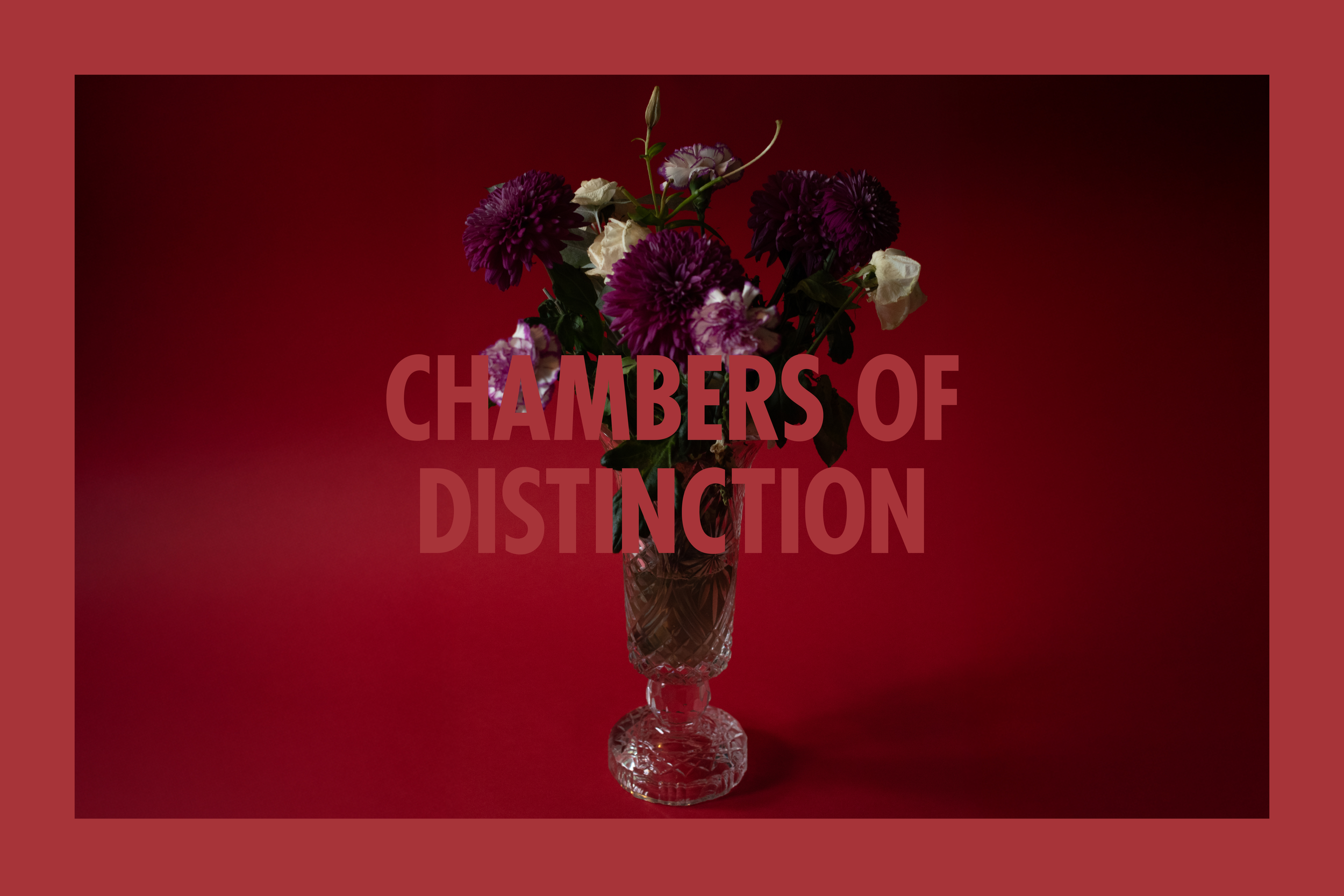 A vase with purple and white flowers on a red background, with the words 'Chambers of Distinction' overlaid.