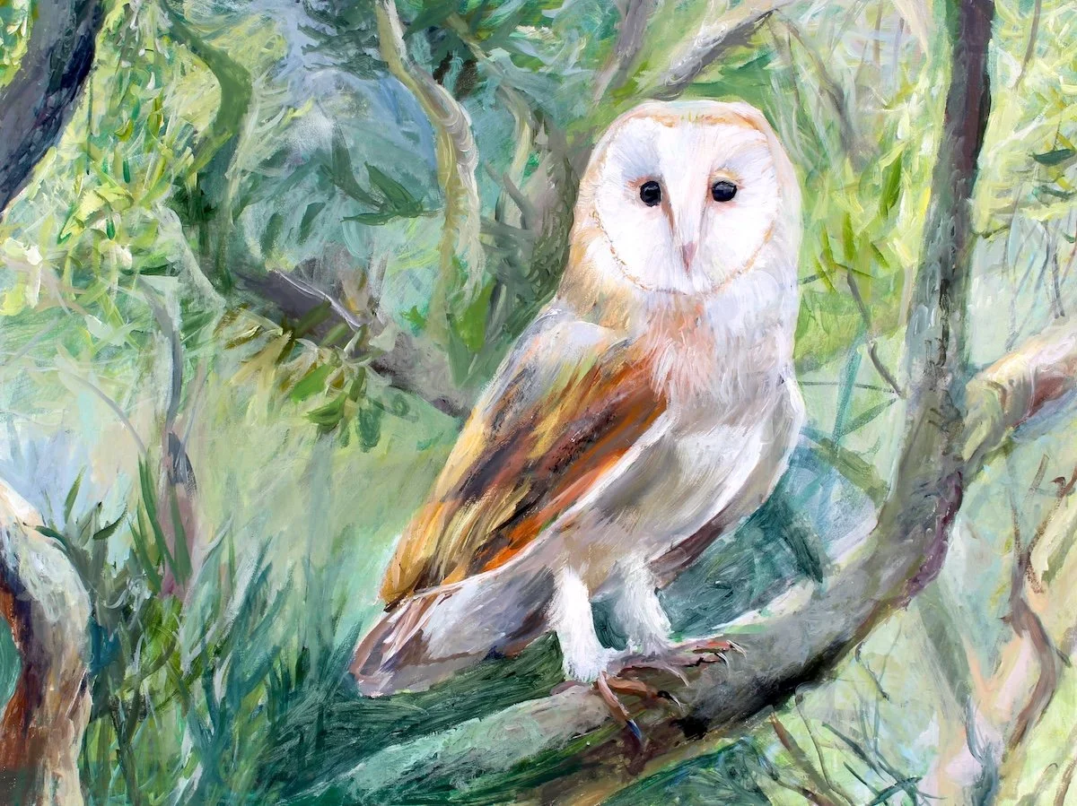Owl, 2026, acrylic on canvas, 30 x 40 inches, SOLD