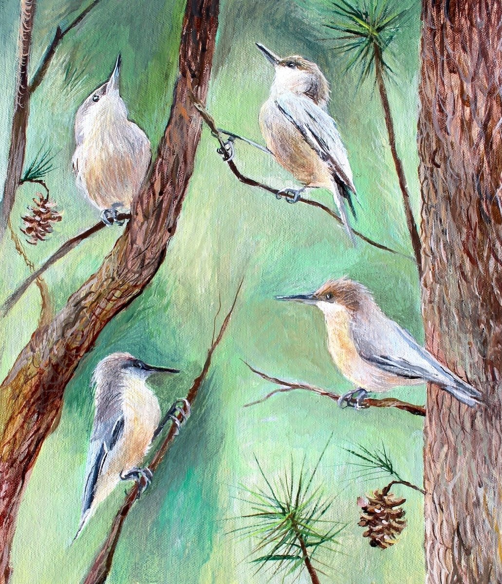 Nuthatches, 2025, acrylic on canvas, 14 x 11 inches