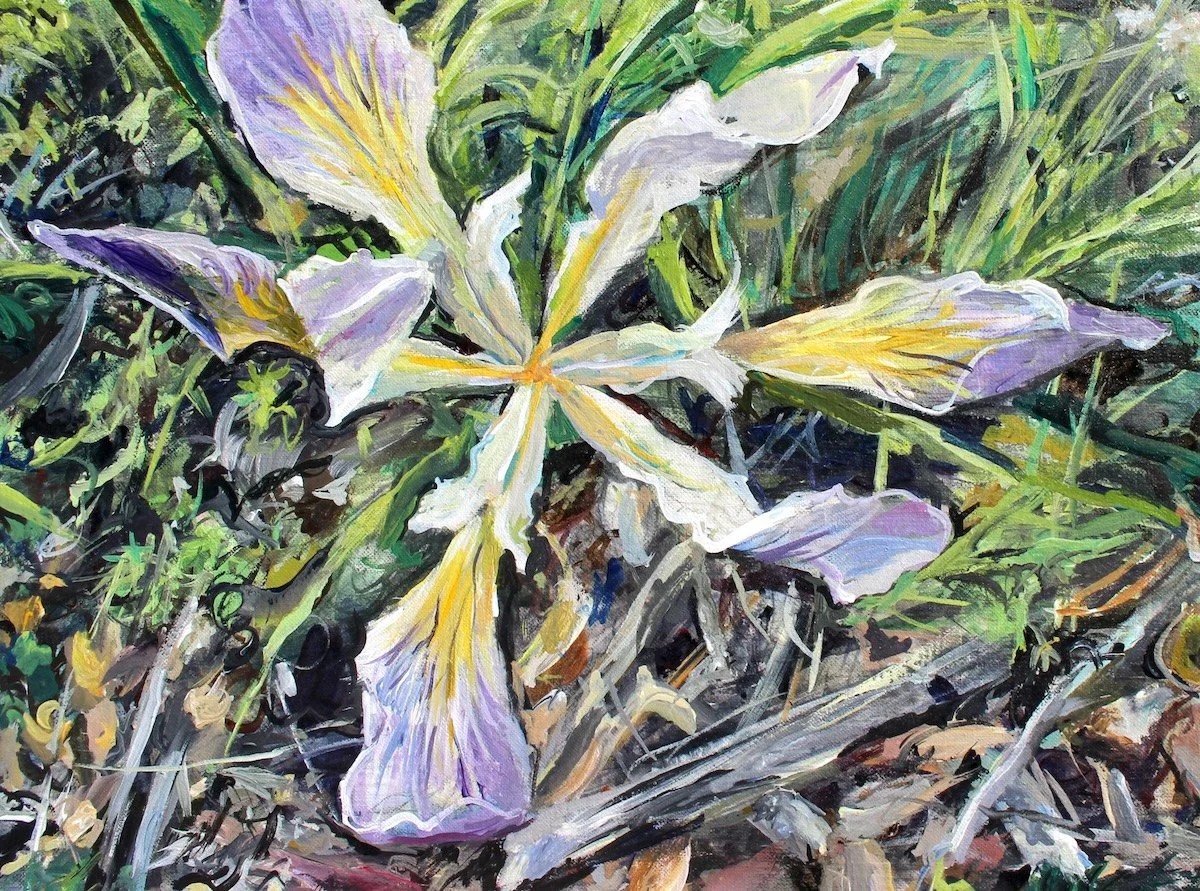wild_iris_8x10.jpg