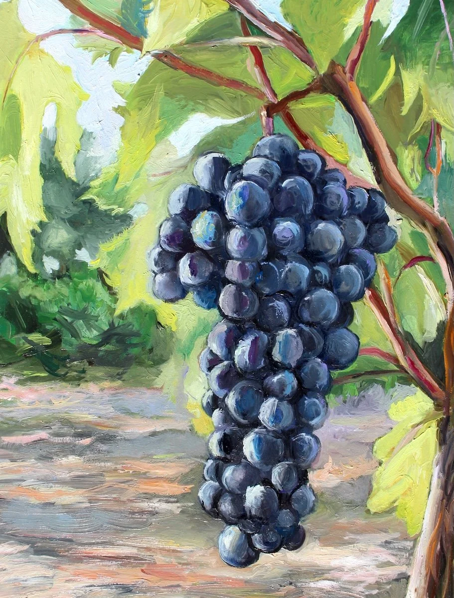Zinfandel Harvest, 2025, oil on panel, 14 x 11 inches