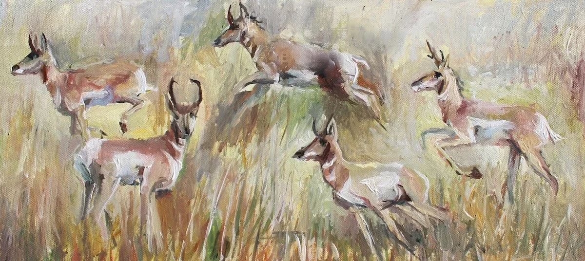 Antelope, 2025, acrylic on canvas, 9 x 20 inches