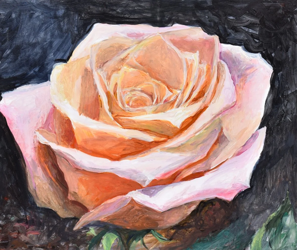 Rose, 2024, acrylic on panel, 18 x 21 inches