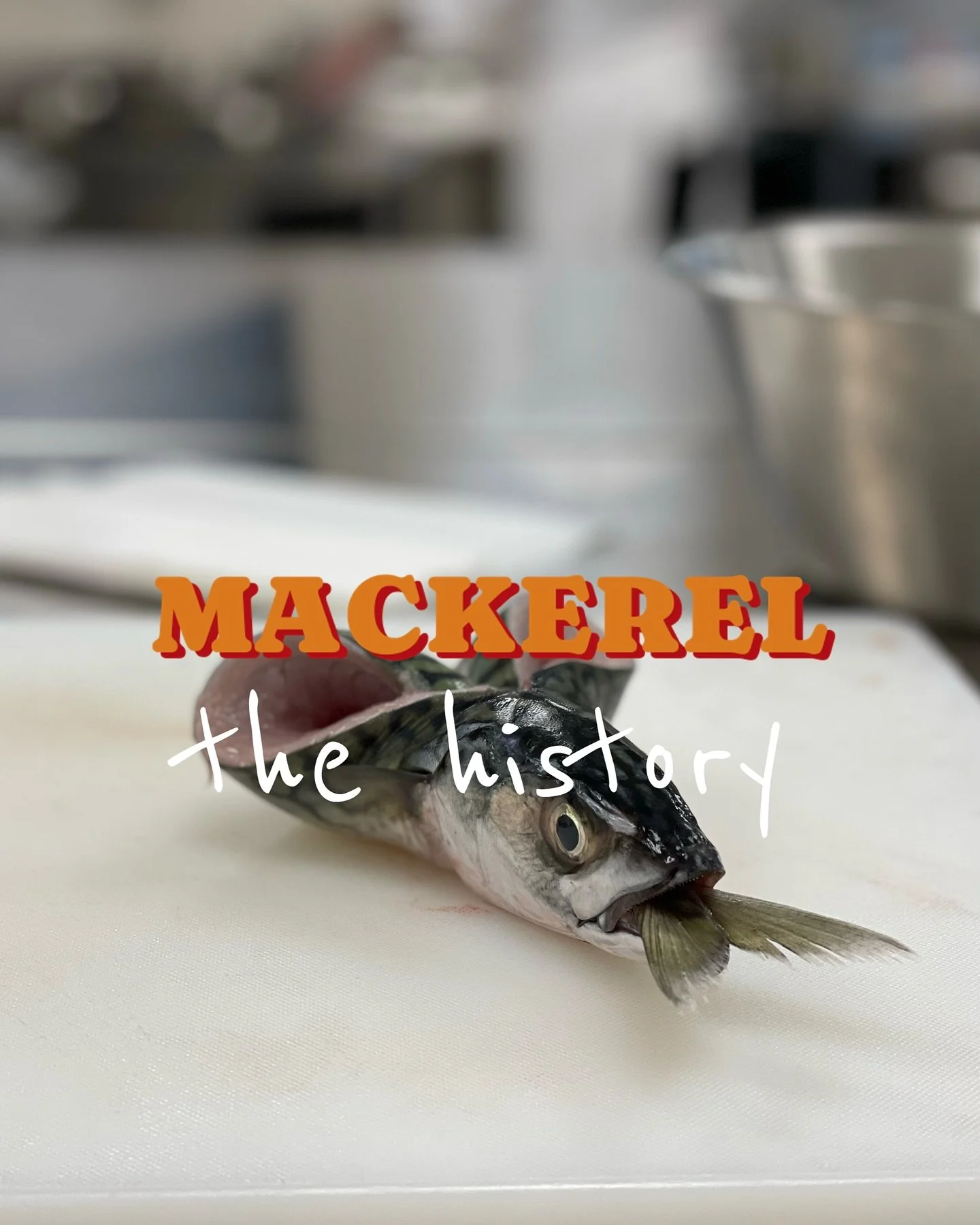 It will not be an overstatement to declare that mackerel is a global phenomenon.
In Japan the Hachinohe port of Honshū island is known for its mackerel culture. The “Hachinohe maeoki mackerel” must be caught in the local waters, and is k