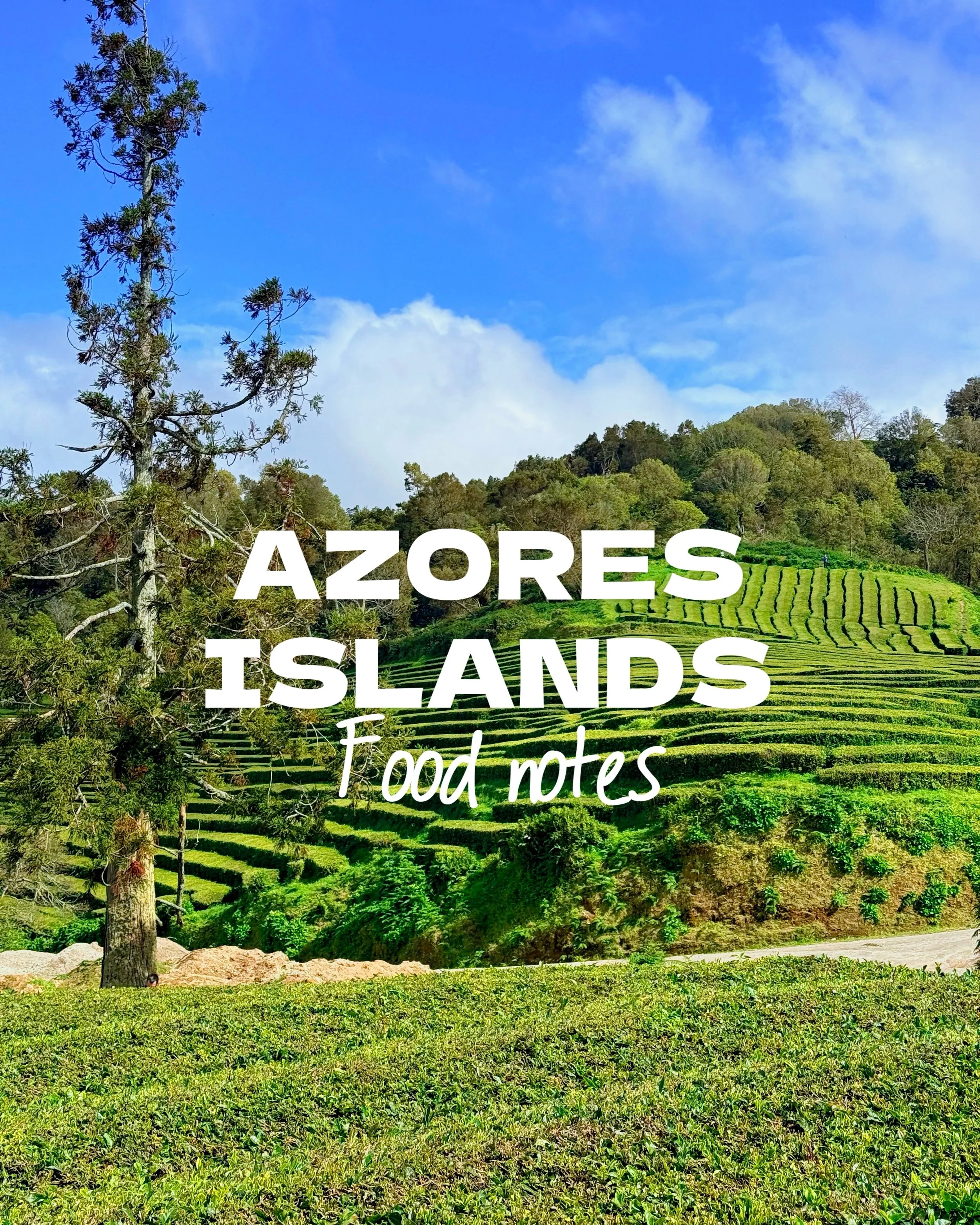 Food notes from Azores: 

Tea - grow in the volcanic soils of S&atilde;o Miguel, it is Europe&rsquo;s only locally produced tea. Flavour profile is uniquely clean,  fresh, and grassy as no pesticides used during production. 

Alcatra - an iconic slow