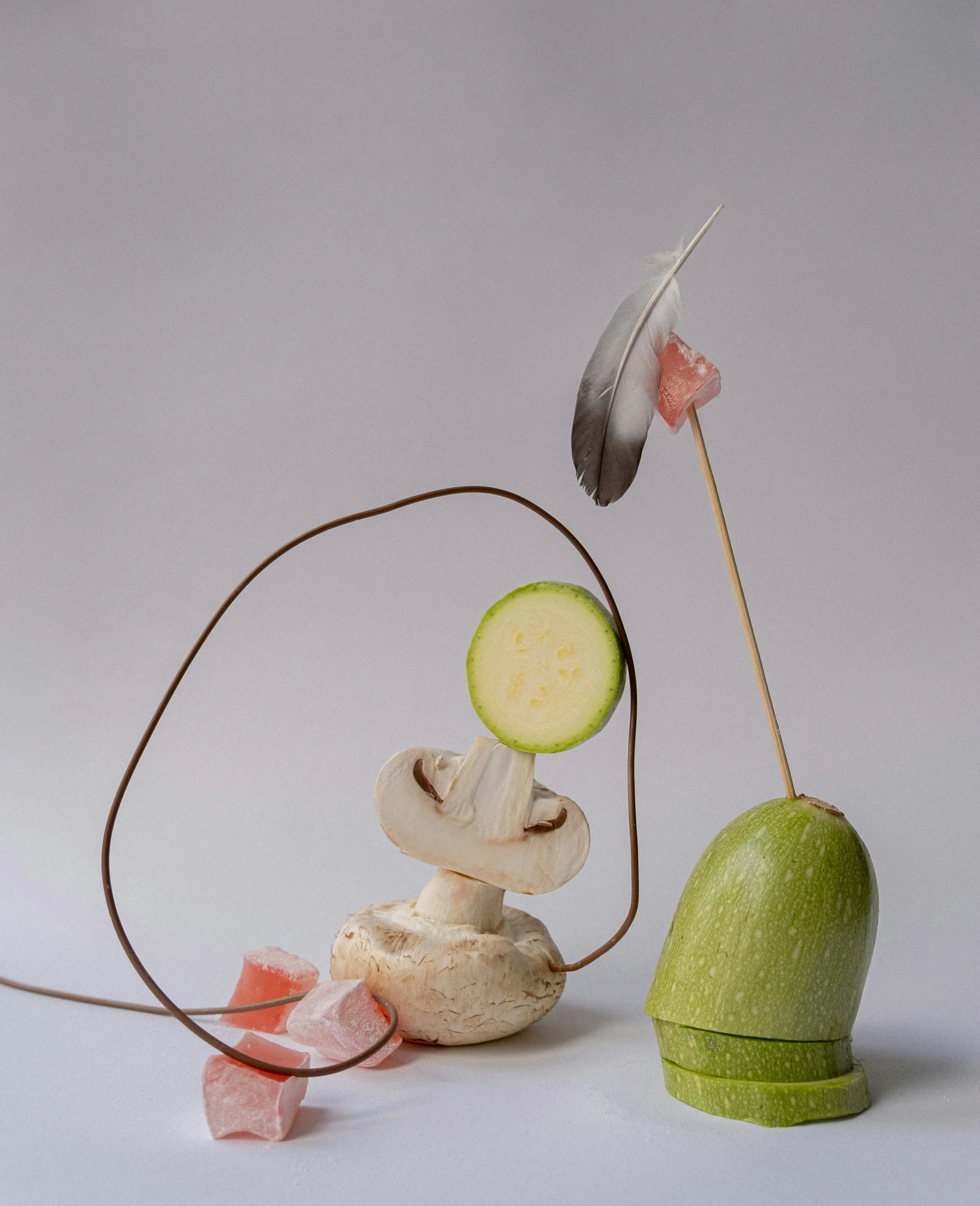 An abstract sculpture made of vegetables, including a mushroom, cucumber slice, green apple, and pink wax candies, arranged with a feather and a stick.