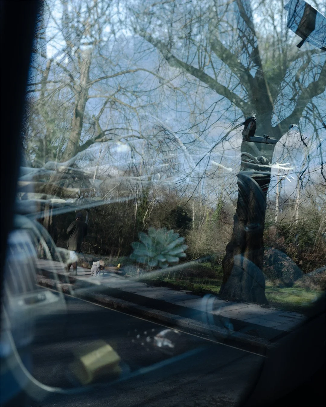 _DSF0071 cactus 2.jpg