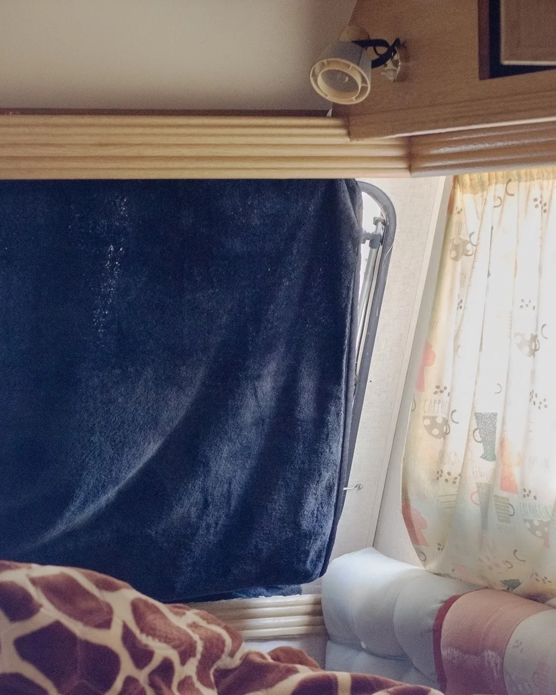 _MG_4425 giraffe blanket.jpg