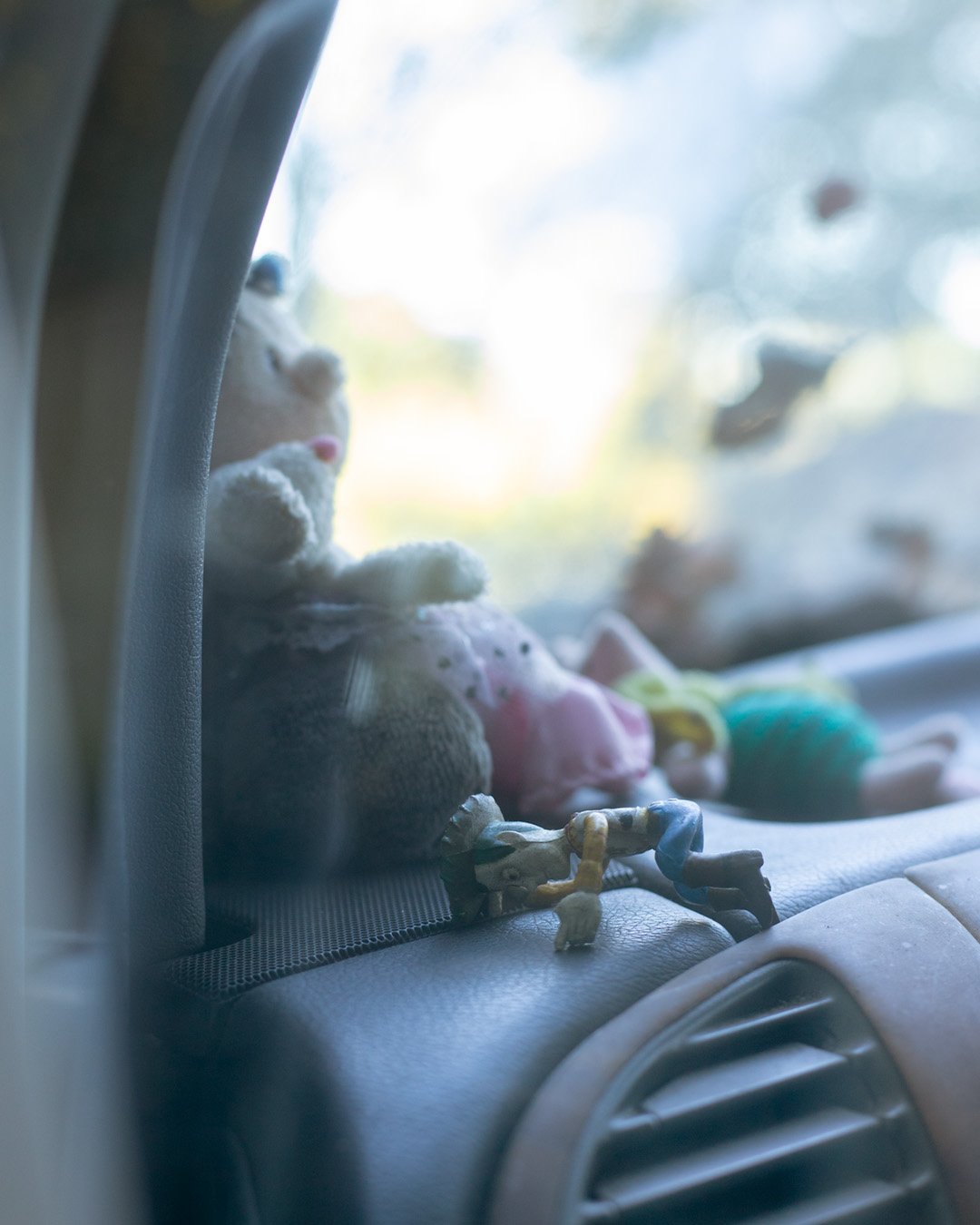 _MG_4444 woody copy.jpg