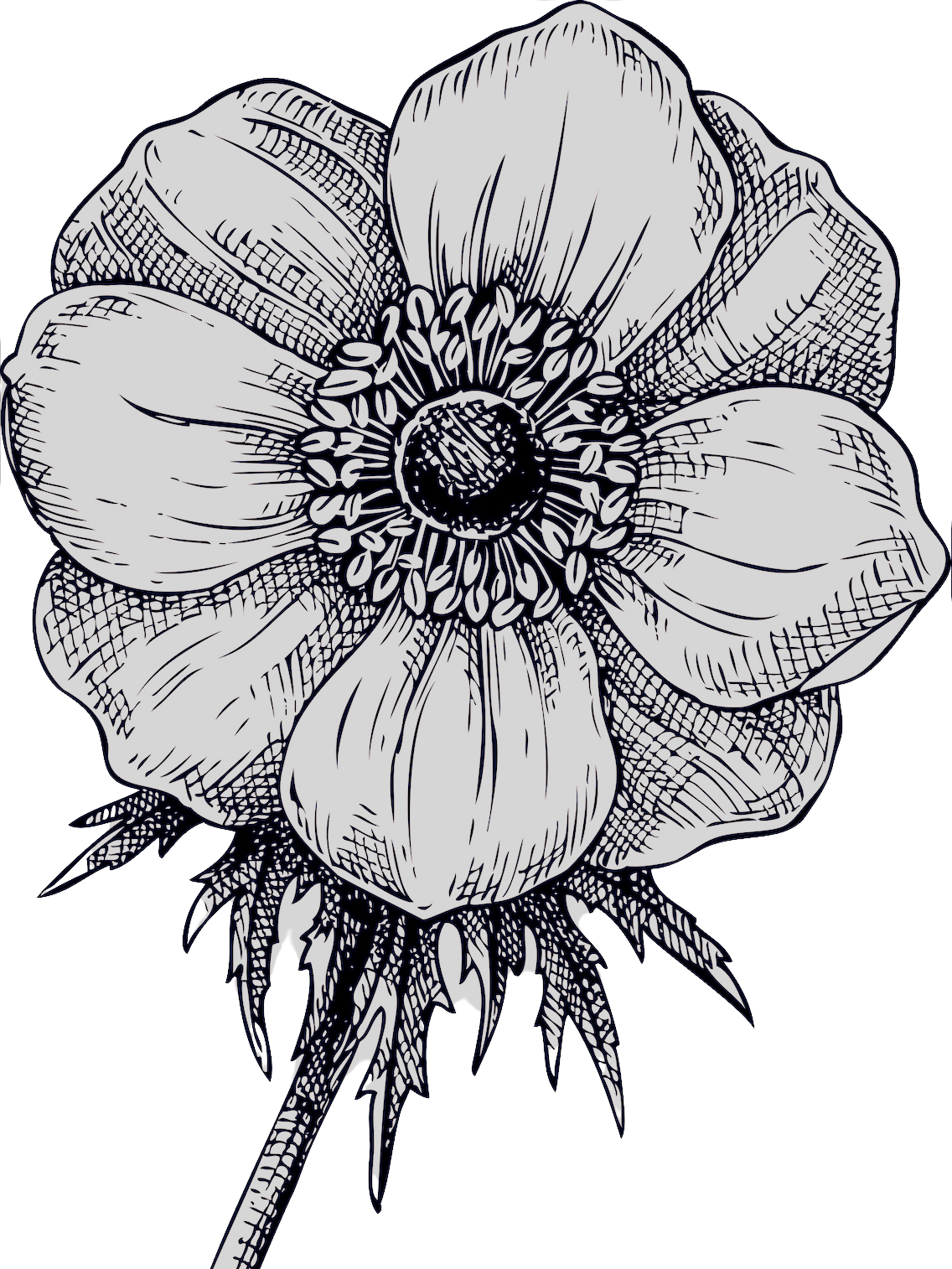 Immortal Blossoms Floral Design