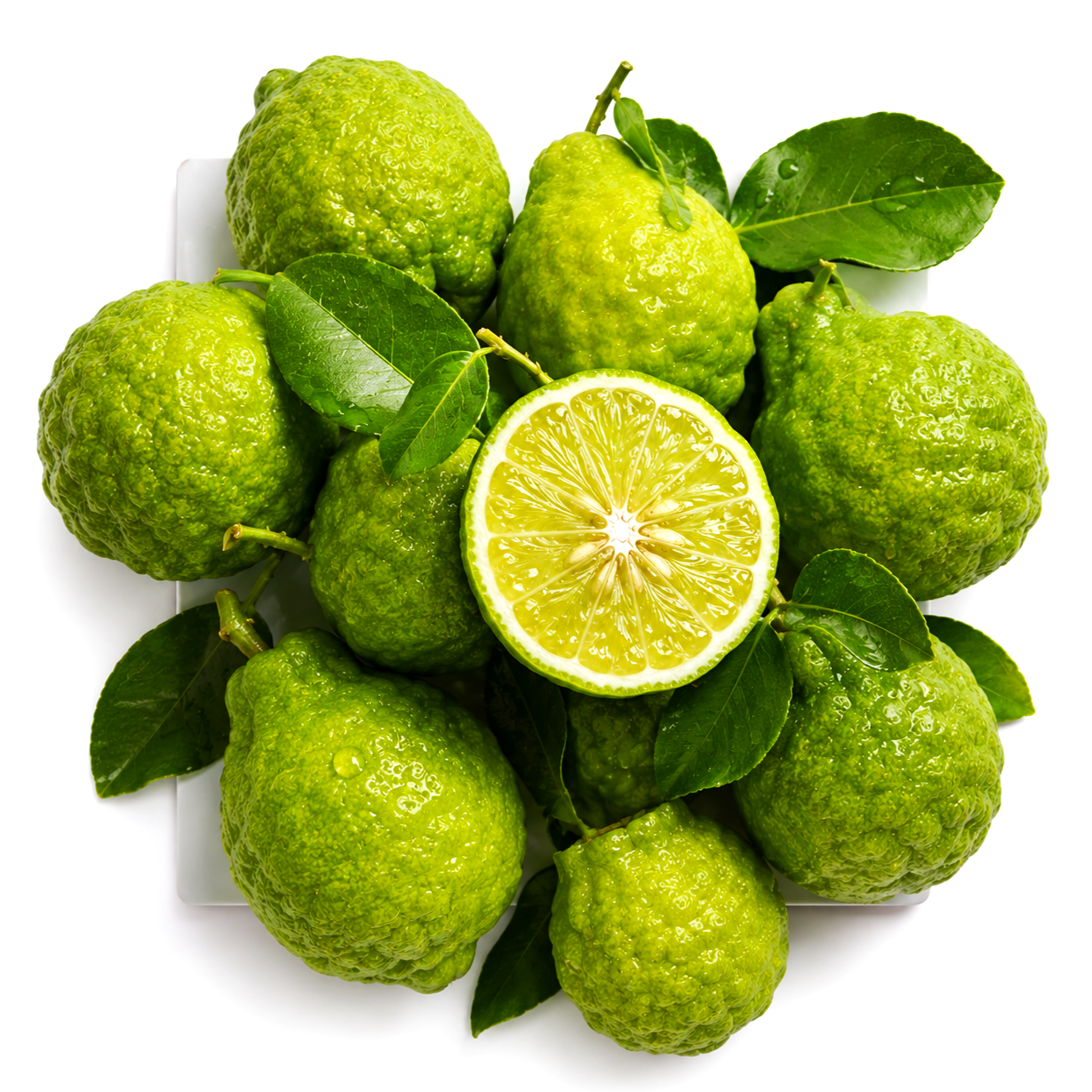 Bergamot