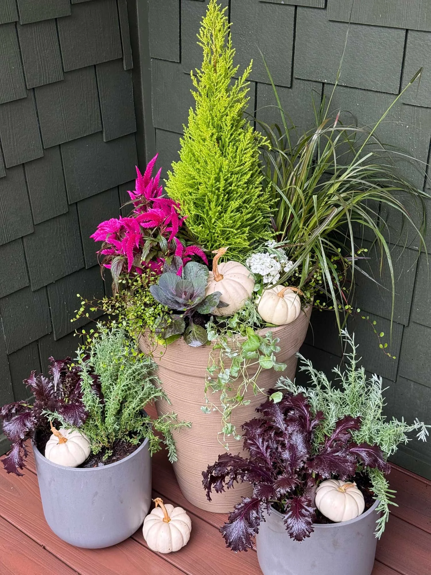 Gilded Event & Floral Design — Fall-themed planter arrangement with pumpkins, colorful foliage, and greenery against a dark wall.