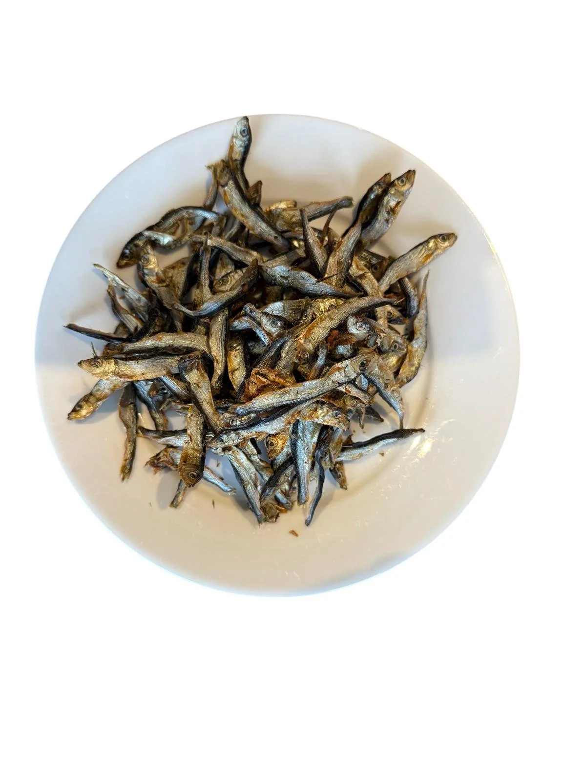 WhatsApp Image 2025-12-06 at 14.31.54_b8d22643.jpg