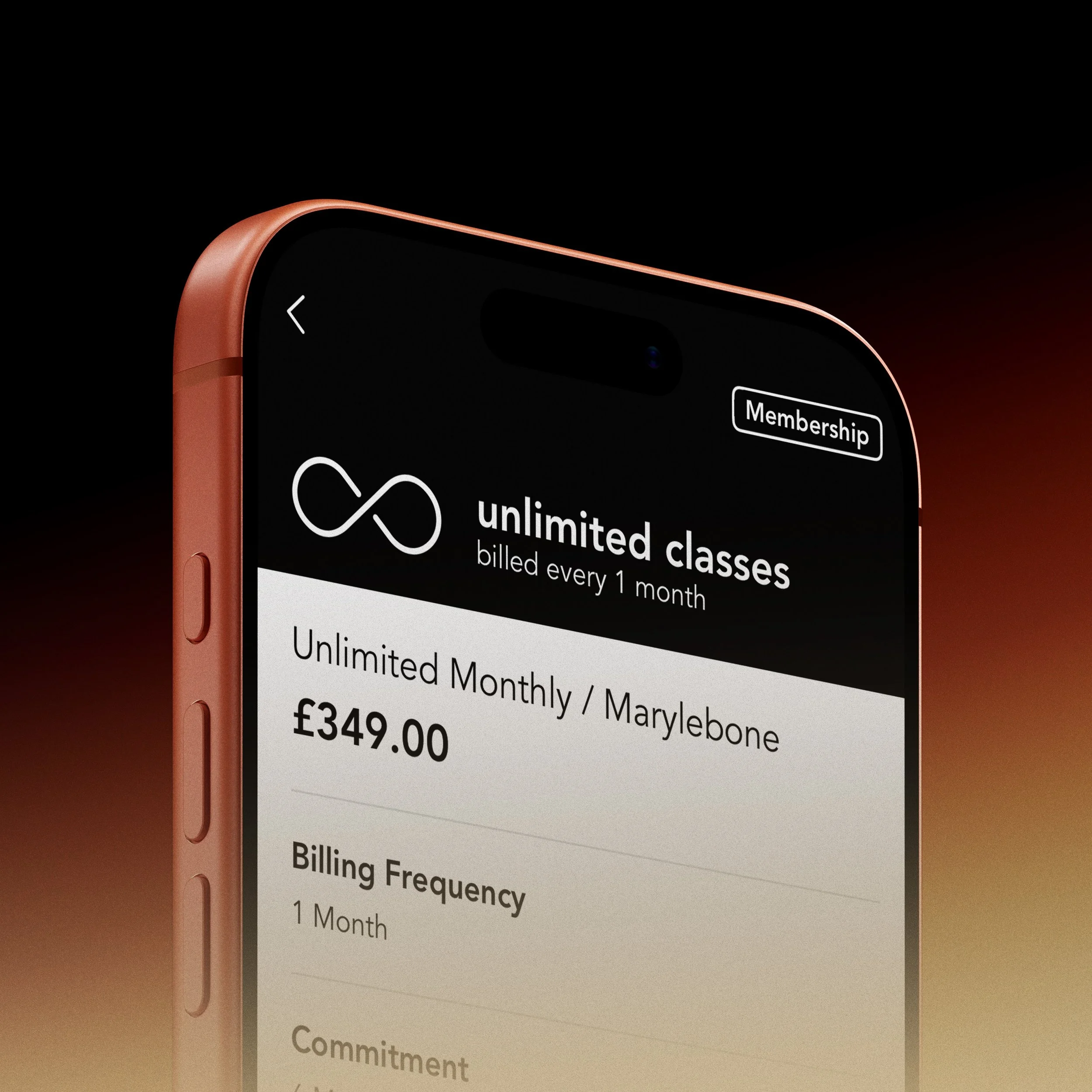 Close-up of a smartphone screen displaying a subscription plan for unlimited classes costing £349 per month.