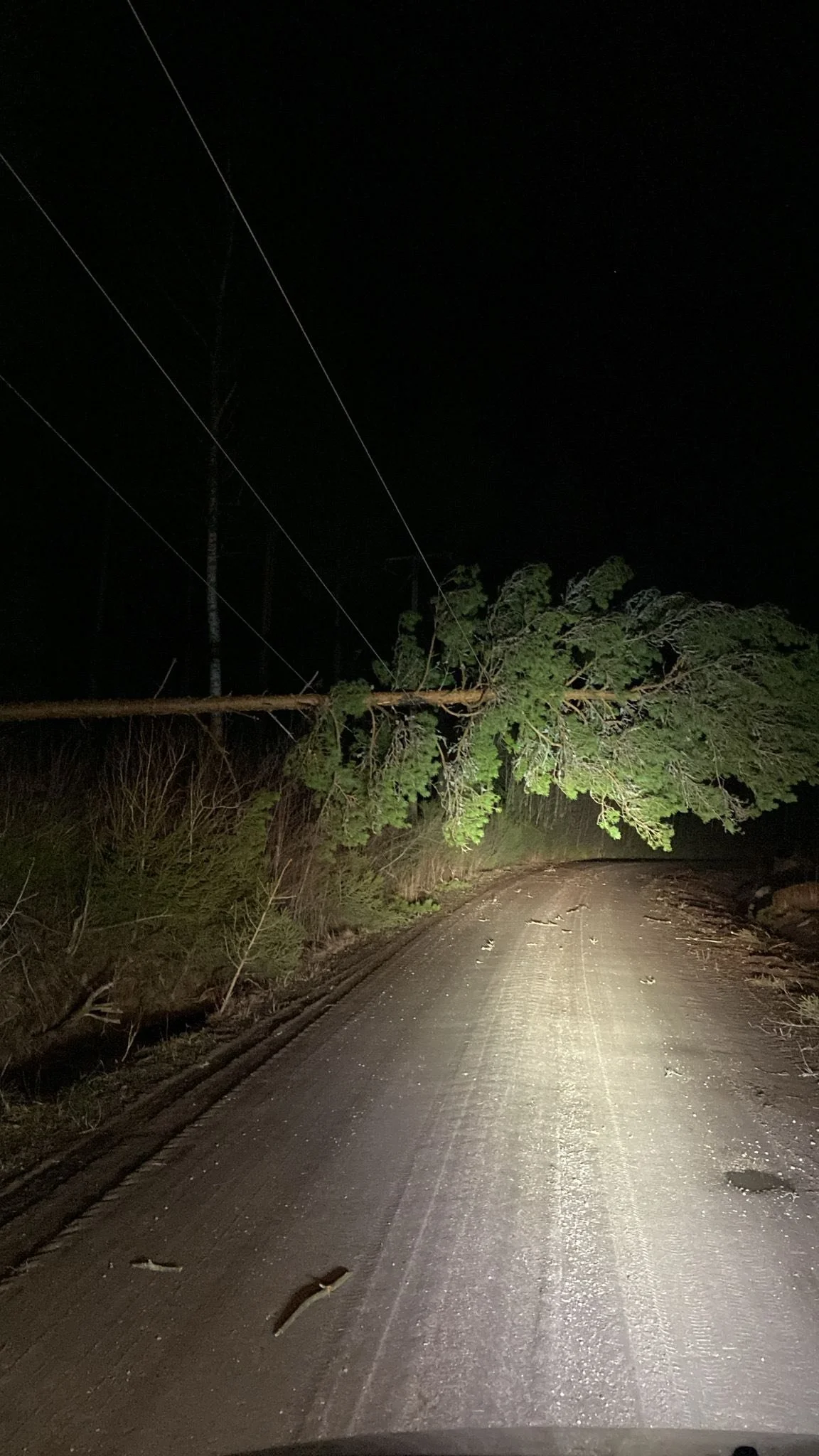 Myrskyinen sää kasvattaa nollavian riskiä