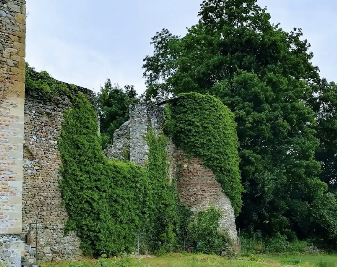 Inspiration naturelle à Saint-Laurent-de-Mure associée à l’univers Bloom Pilates Studio, wellness lifestyle near Lyon