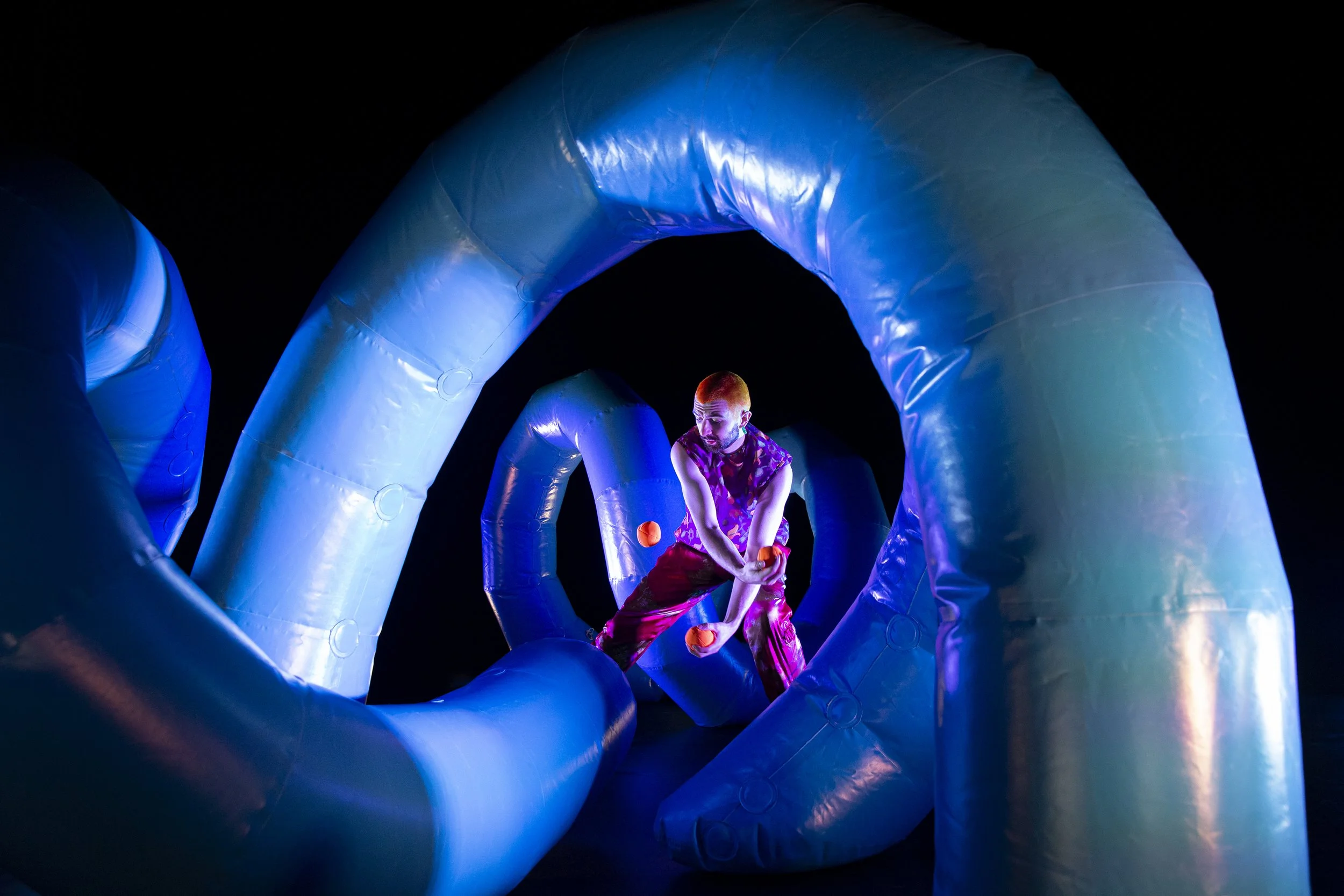 © Fahimeh Hekmatandish