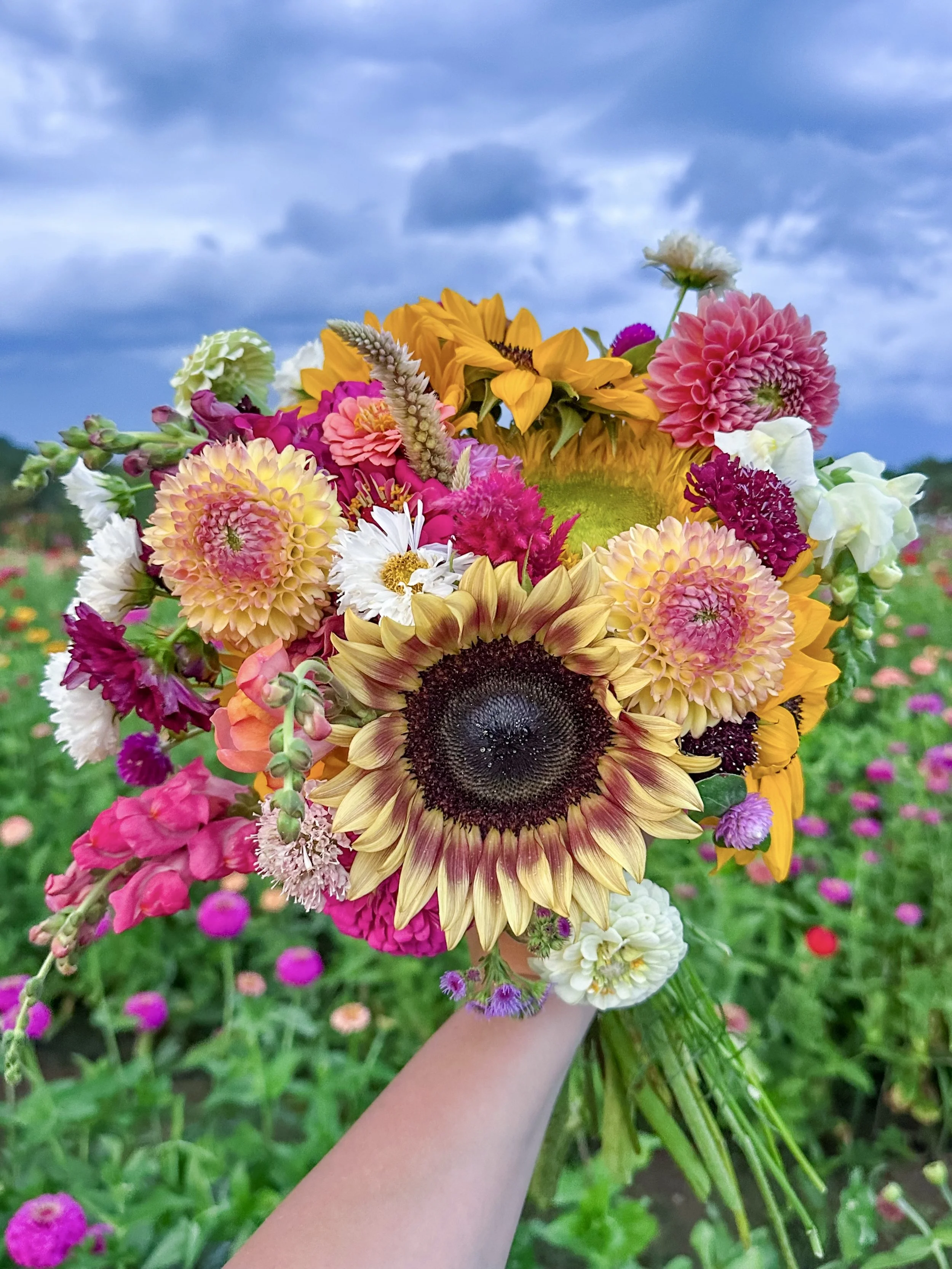 2026 Summer Bouquet Subscription: June, July & August (6 weeks)