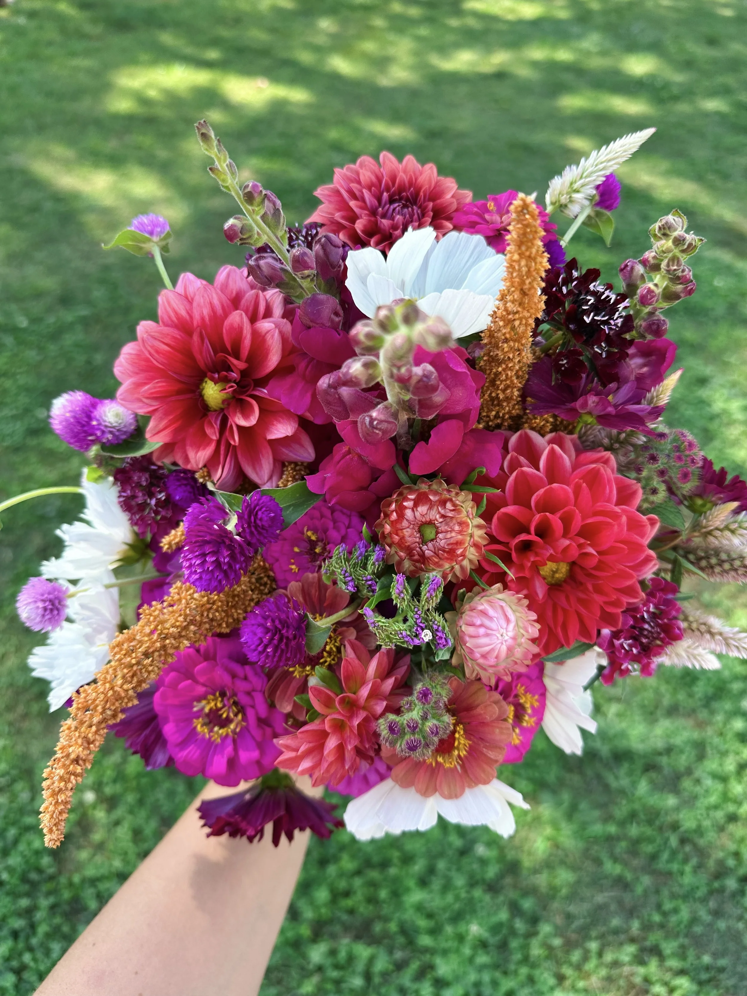 2026 Fall Bouquet Subscription: September & October (6 weeks)