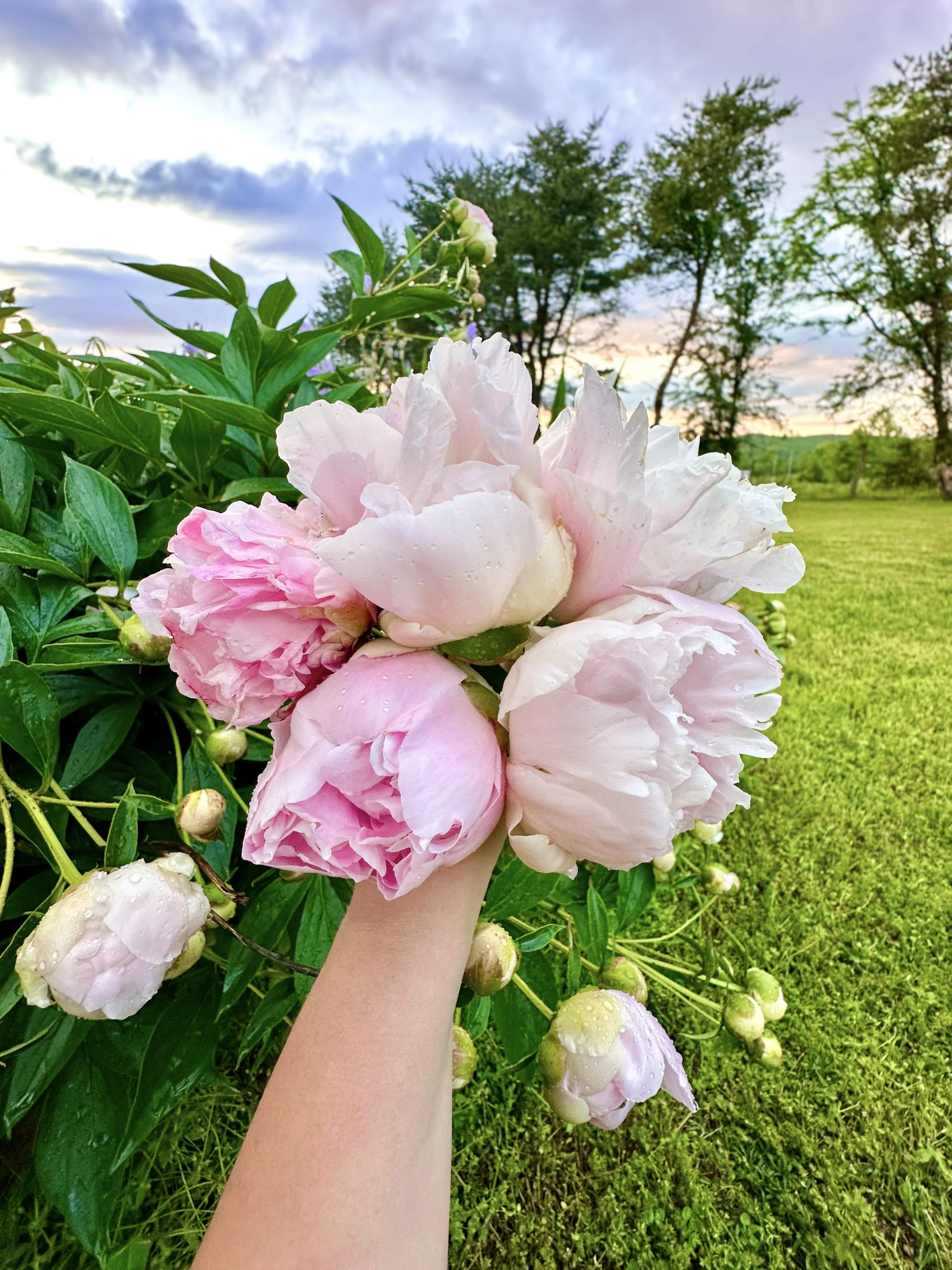 2026 Spring Bouquet Subscription: May (4 weeks)