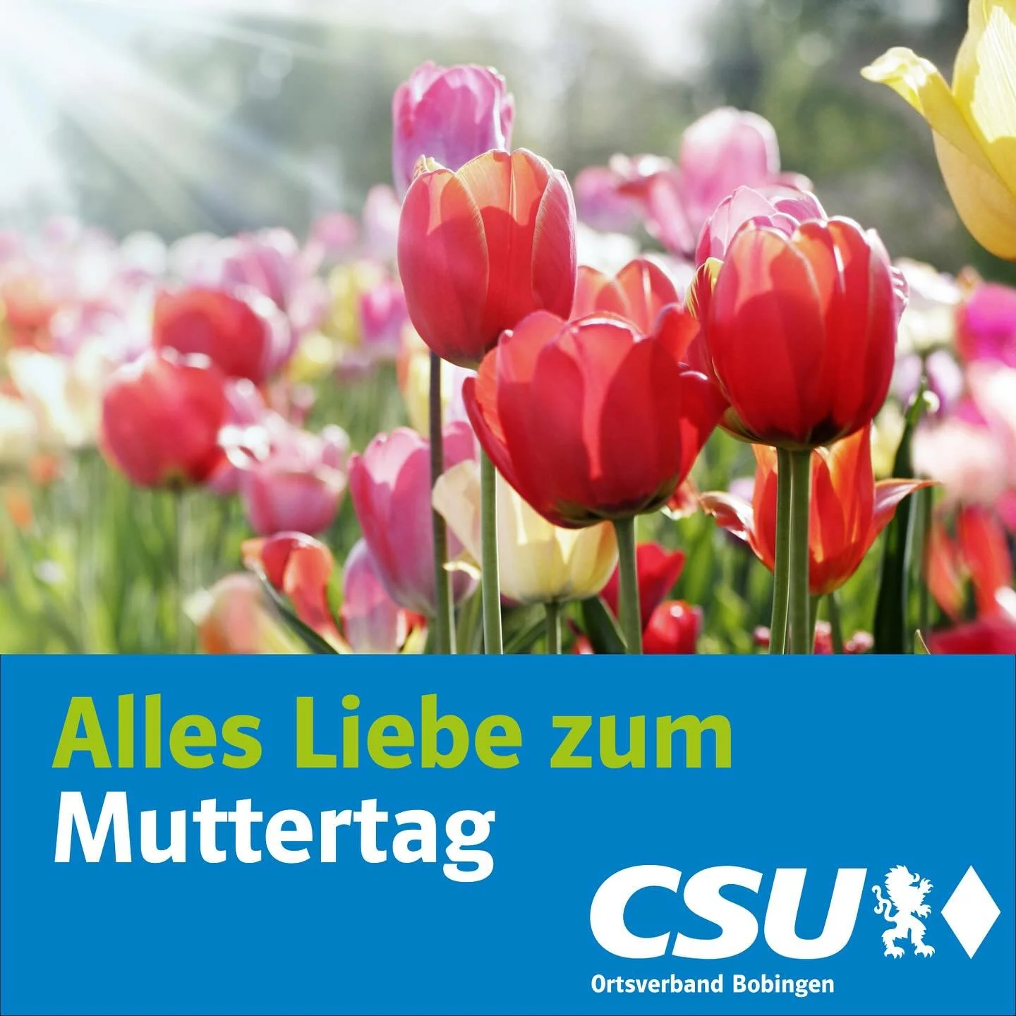 #muttertag #csubobingen