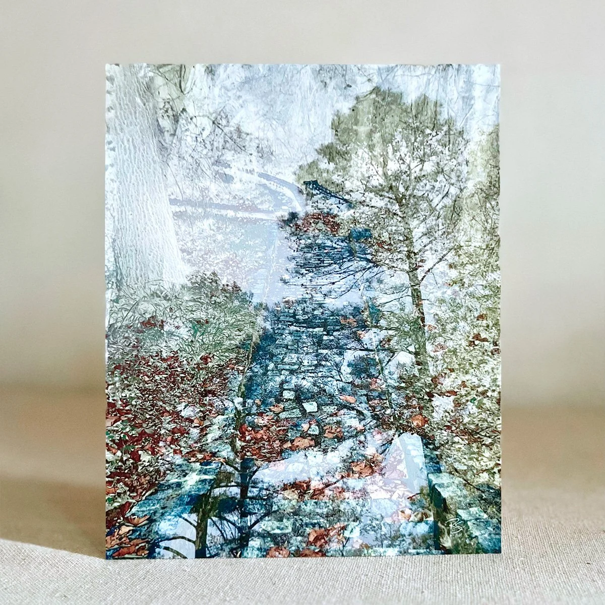 8x10" Art Print • Wooded Path